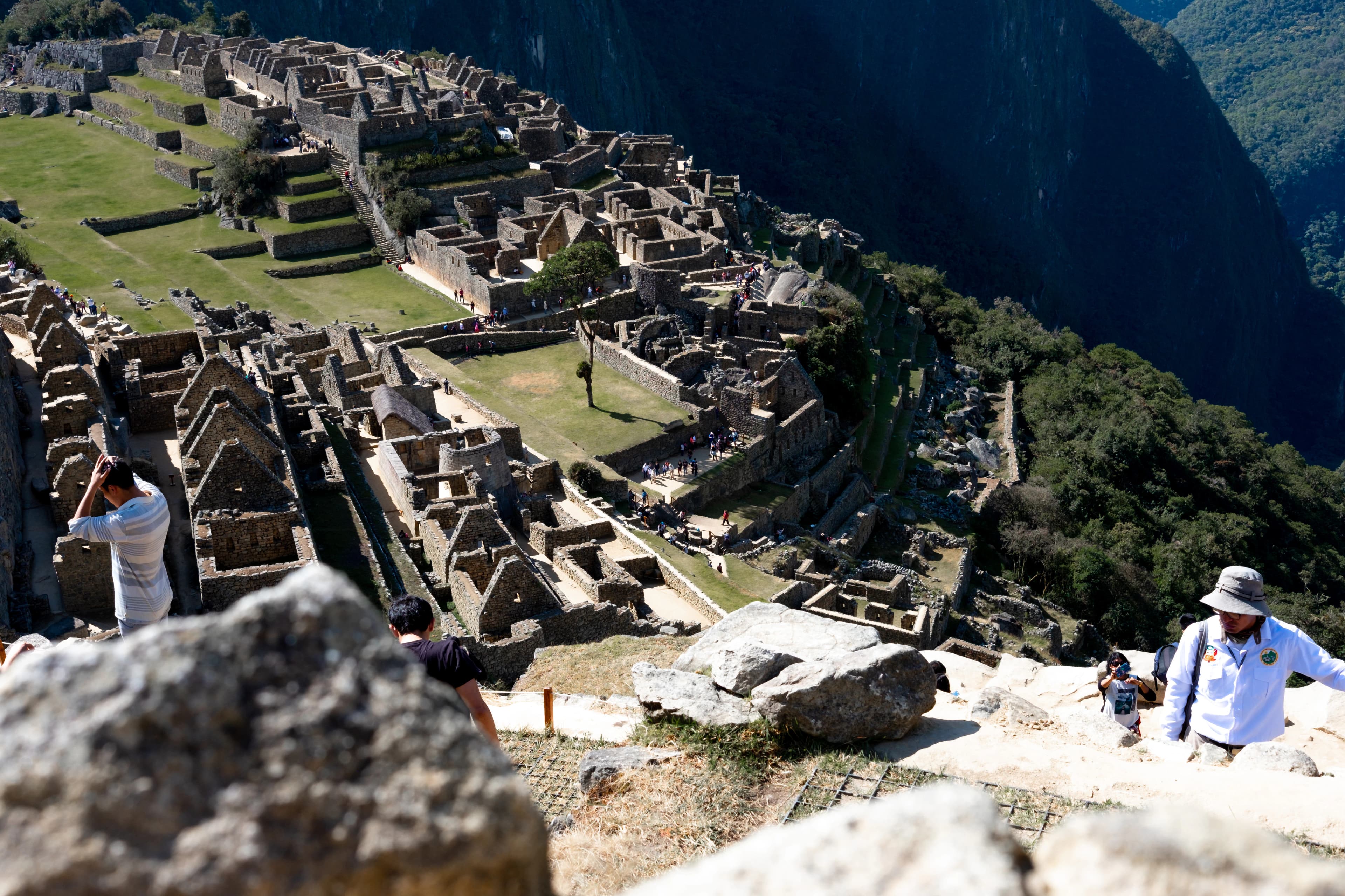 aerial view of green trees and mountain during daytime