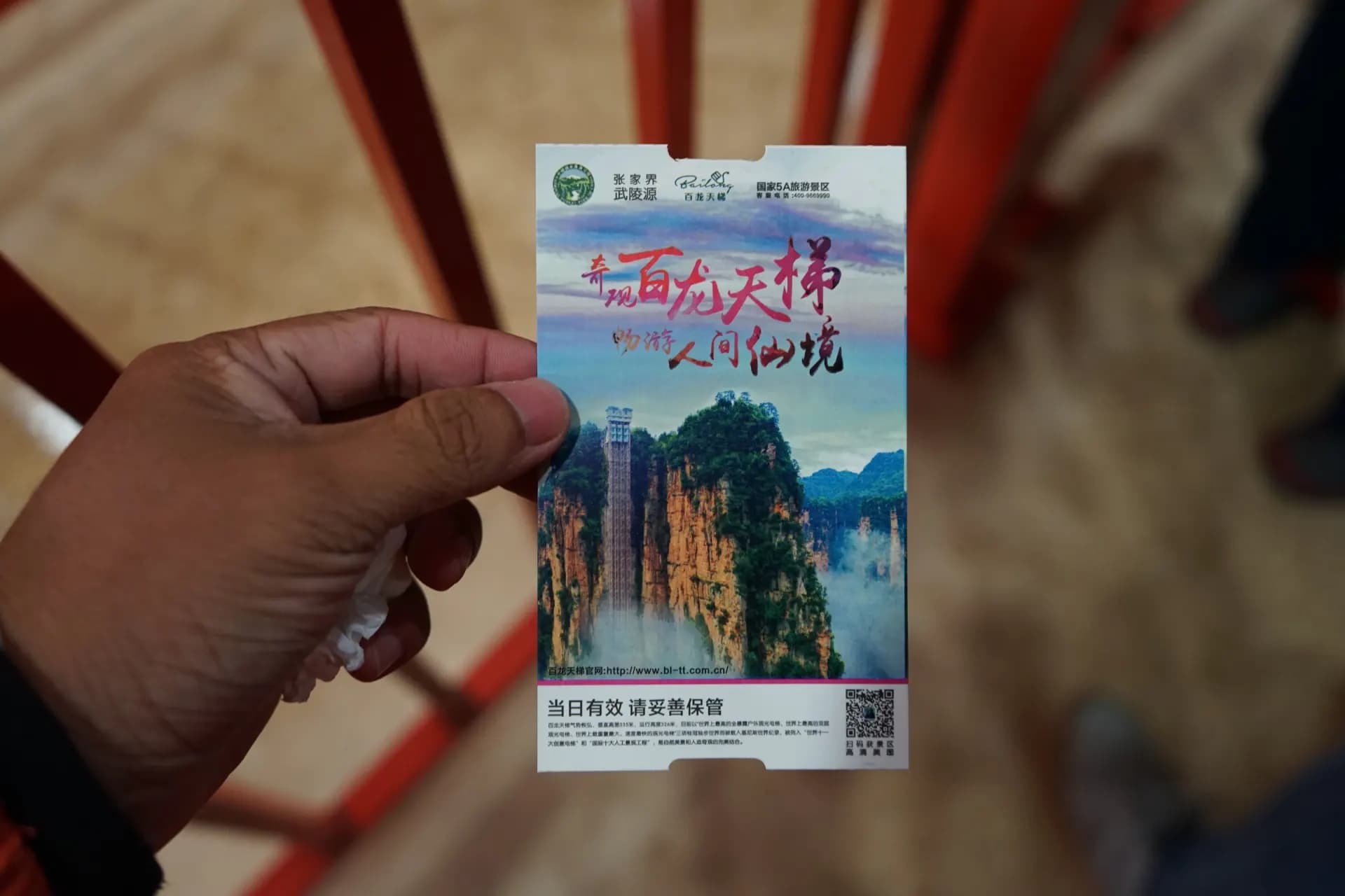 A person holds a ticket featuring a scenic view.