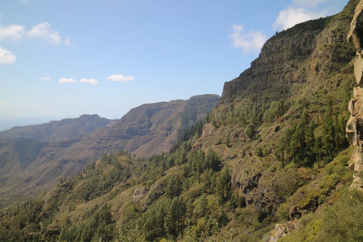 a view of a mountain side with trees on the side
