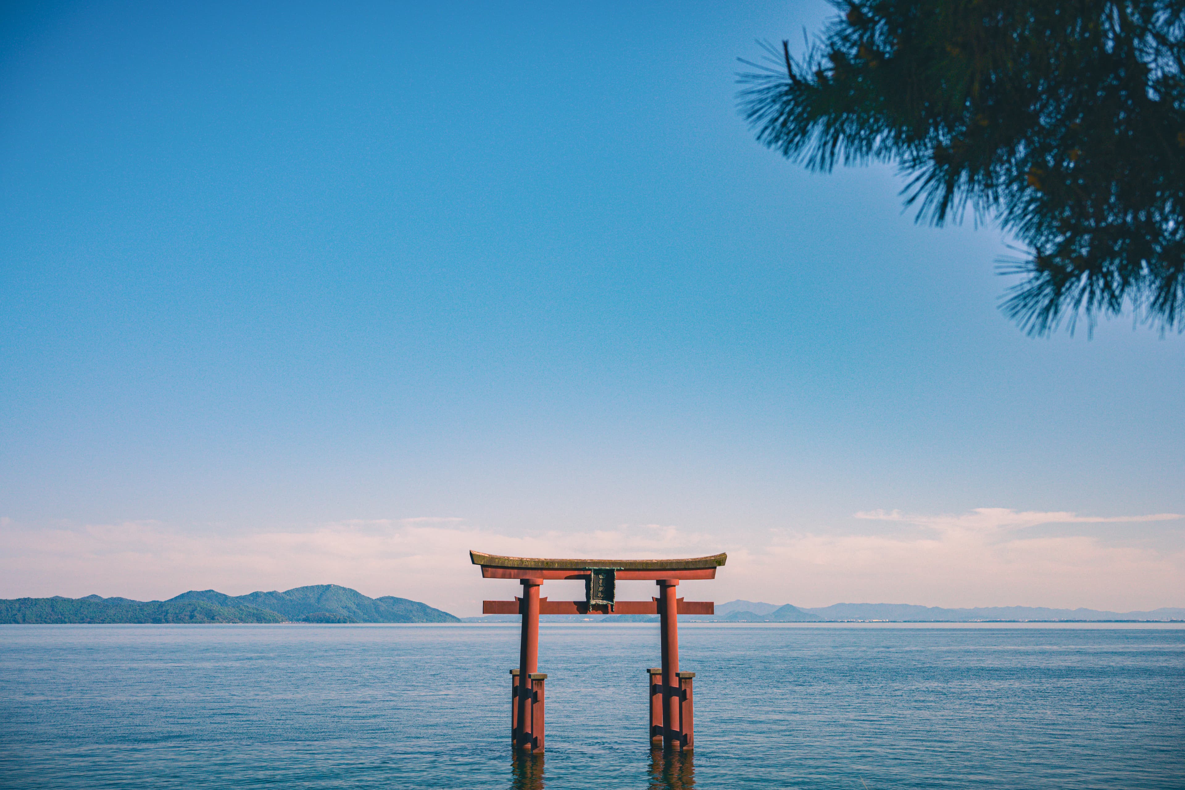 a tori tori floating in the middle of a body of water