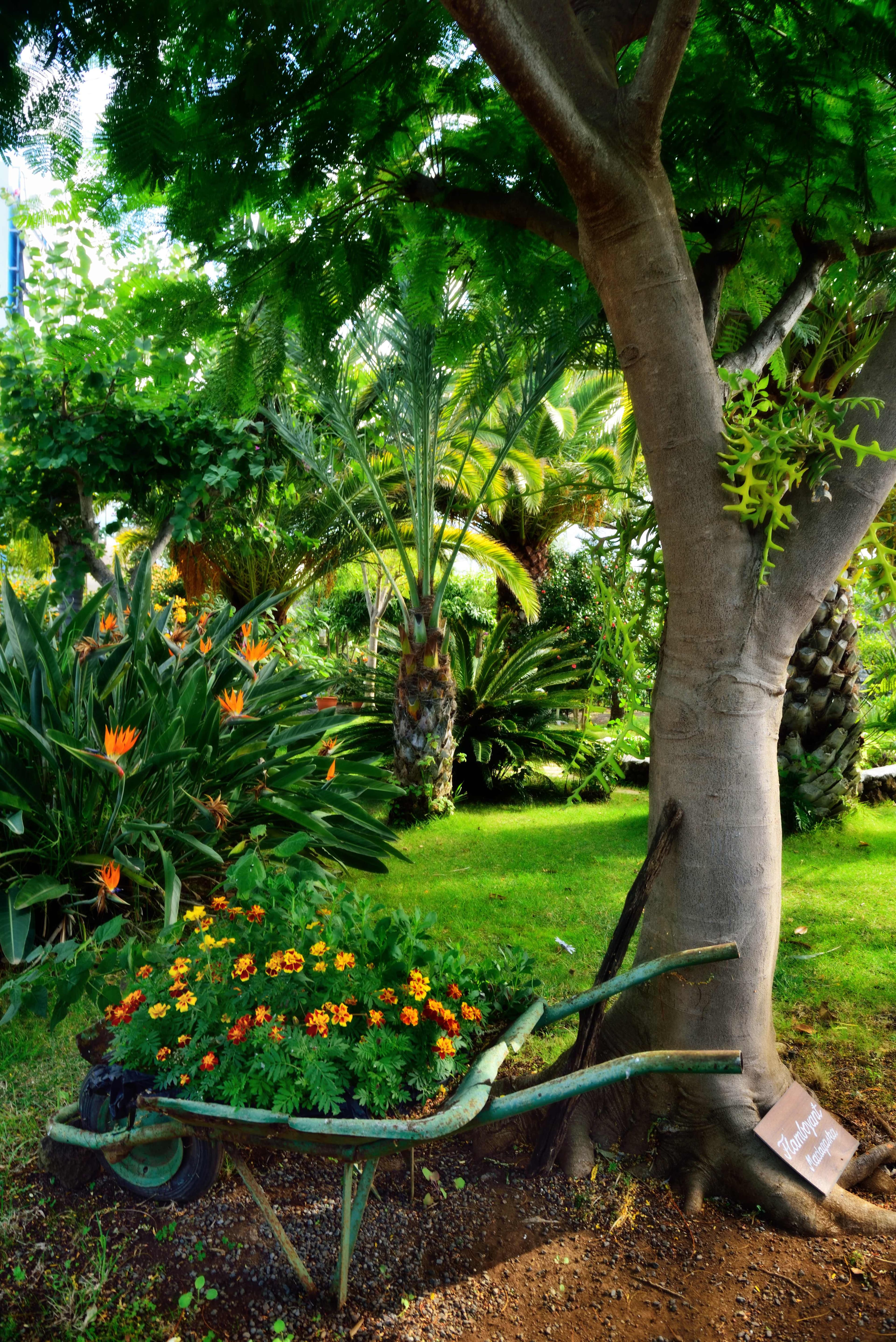 Apartamentos Adjovimar Ansicht 9