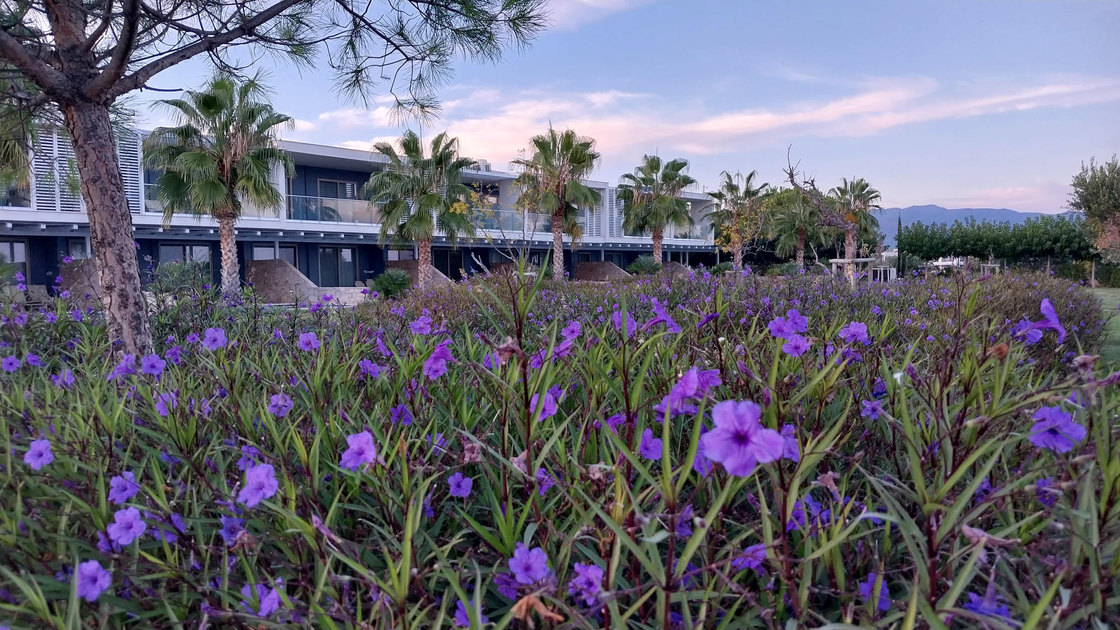 TUI BLUE Lagoon Palace Ansicht 2