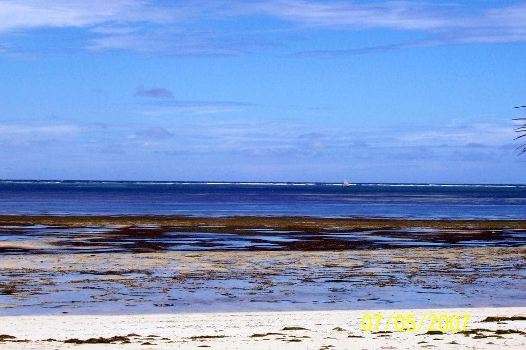 Hotel Mielele Beach Ansicht 5