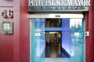 Hotel Petit Palace Mayor