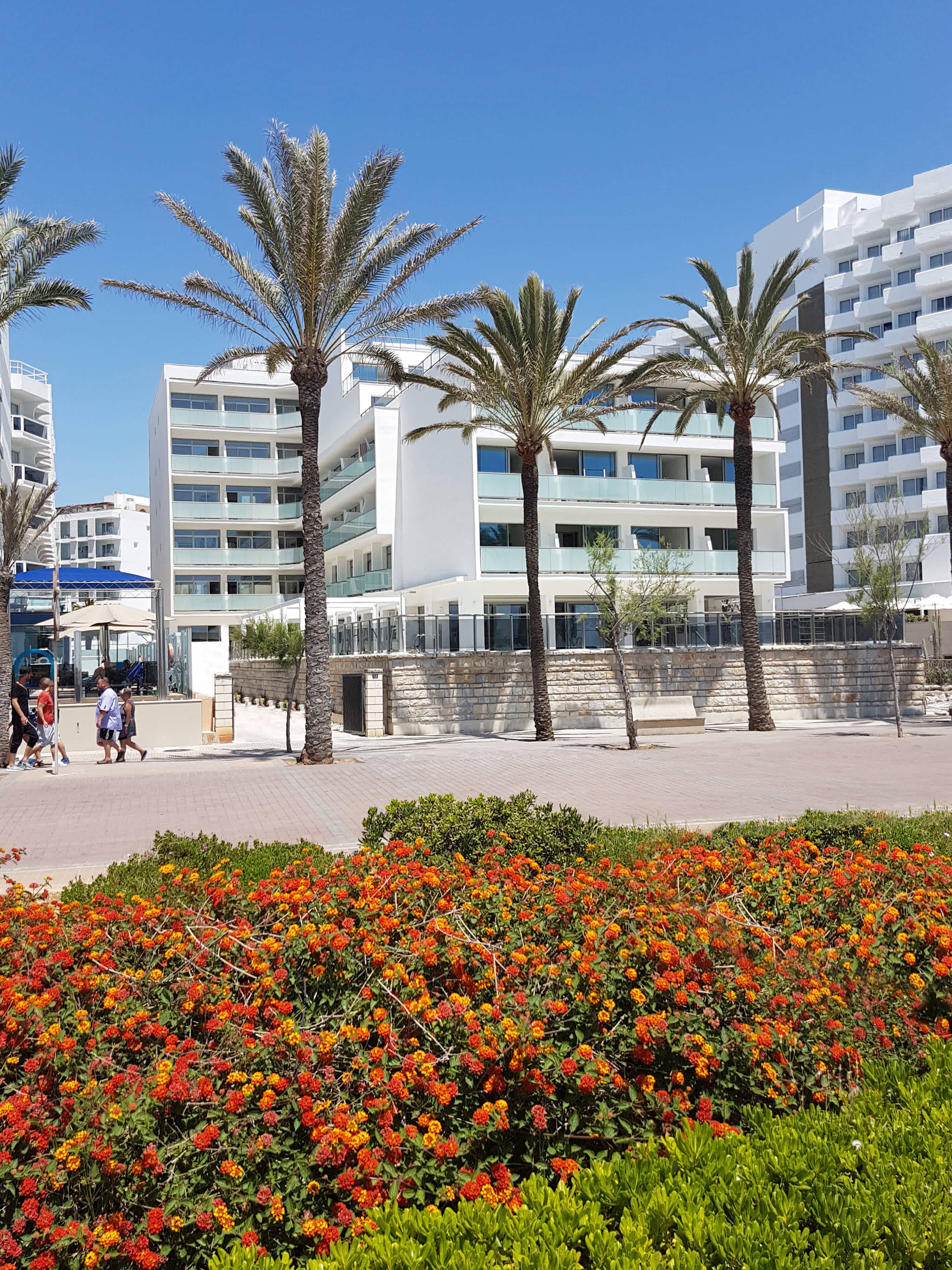 allsun Hotel Riviera Playa Ansicht 2