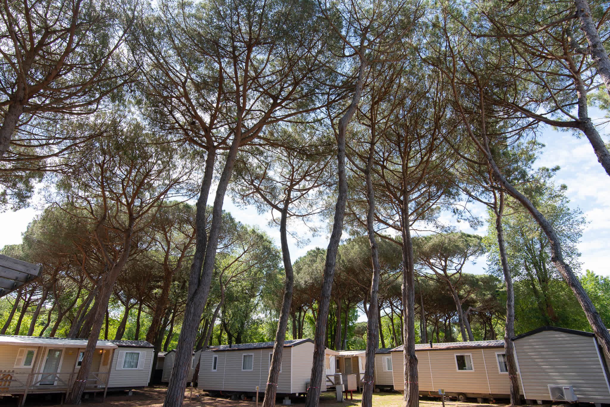 Club del Sole Adriano Family Camping Village Ansicht 3