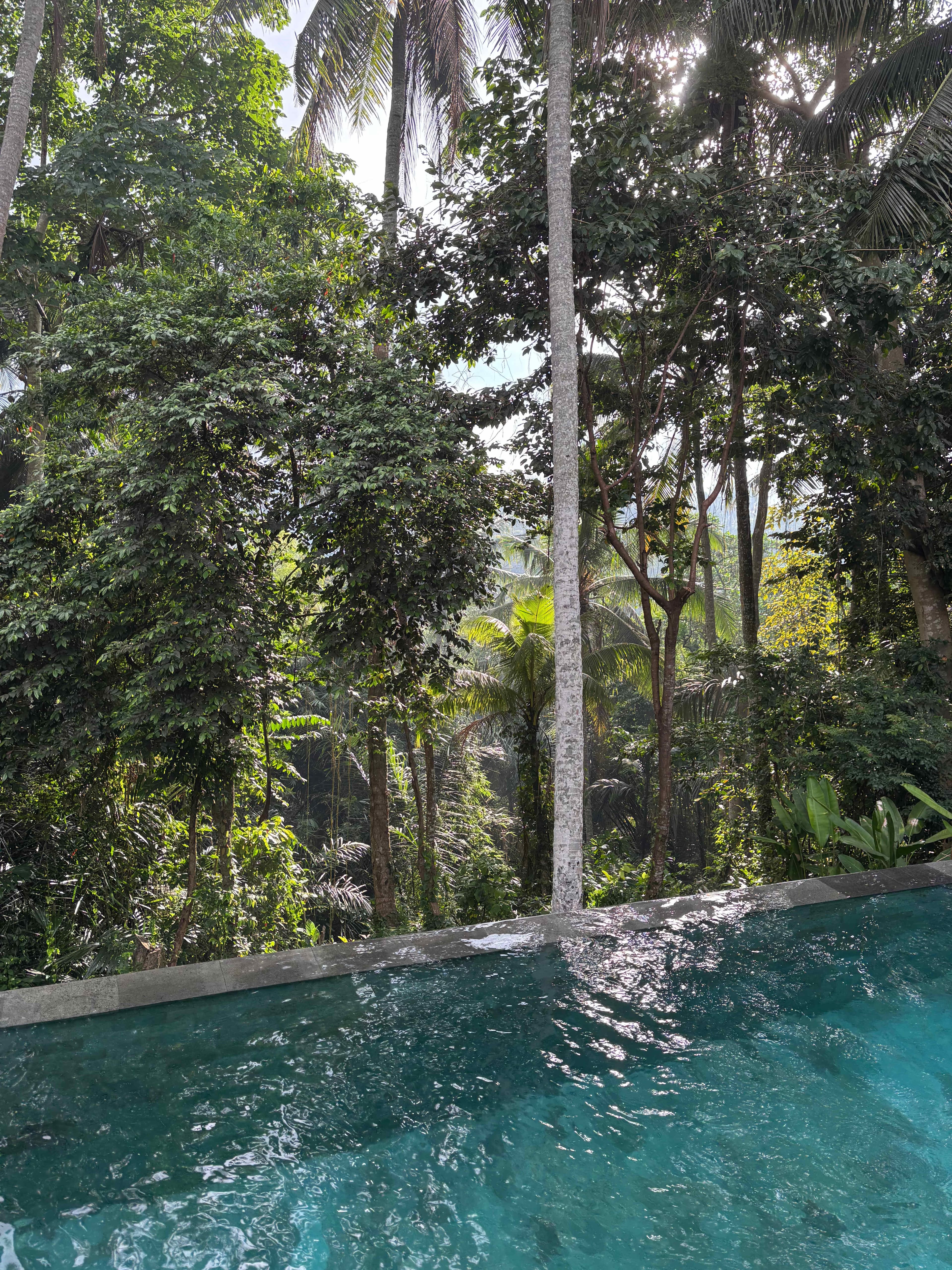 Arkamara Dijiwa Ubud Ansicht 2