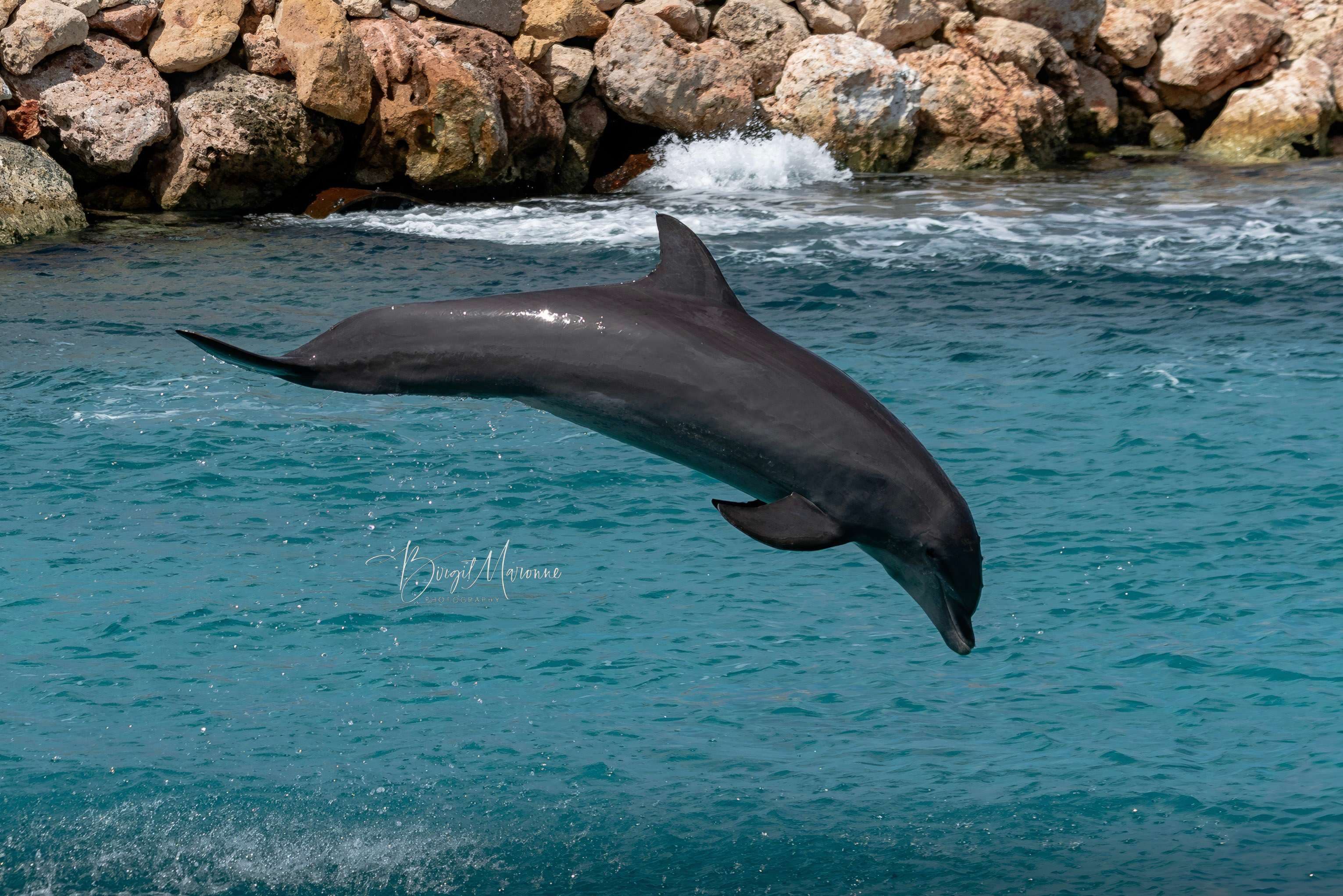 Chogogo Dive & Beach Resort Ansicht 10