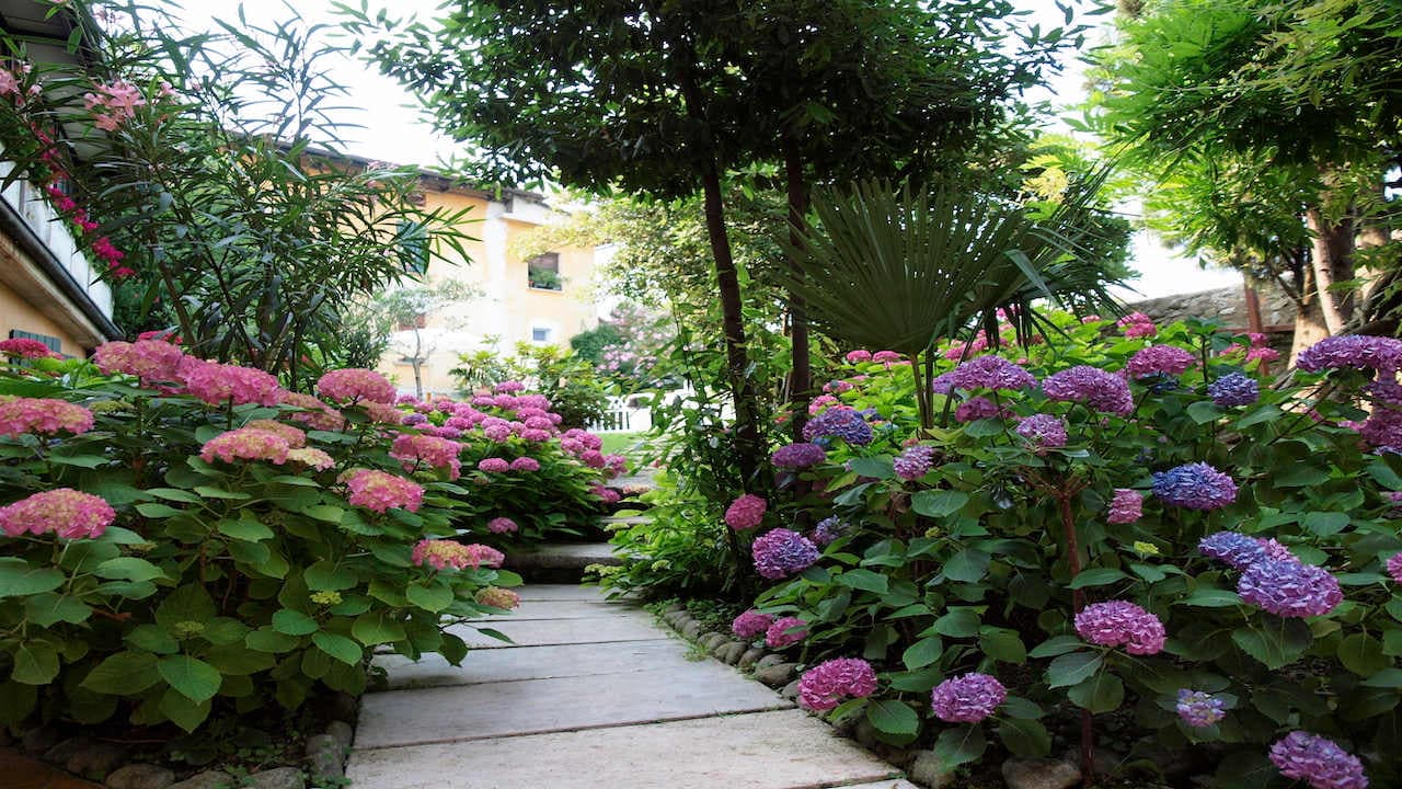 Hotel San Filis Ansicht 7