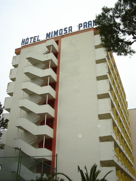 Globales Mimosa