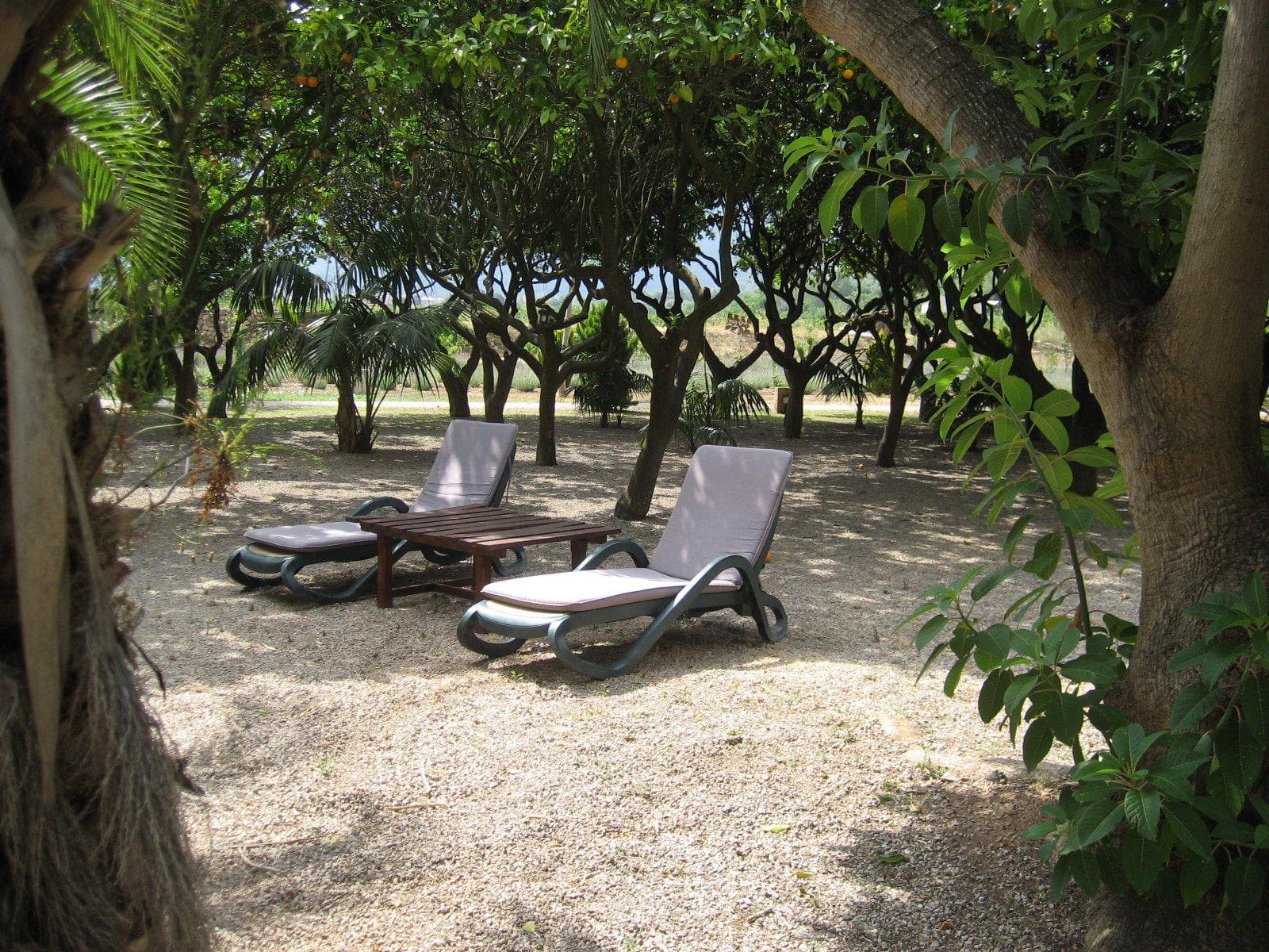 Finca Ca N'Aí Ansicht 10