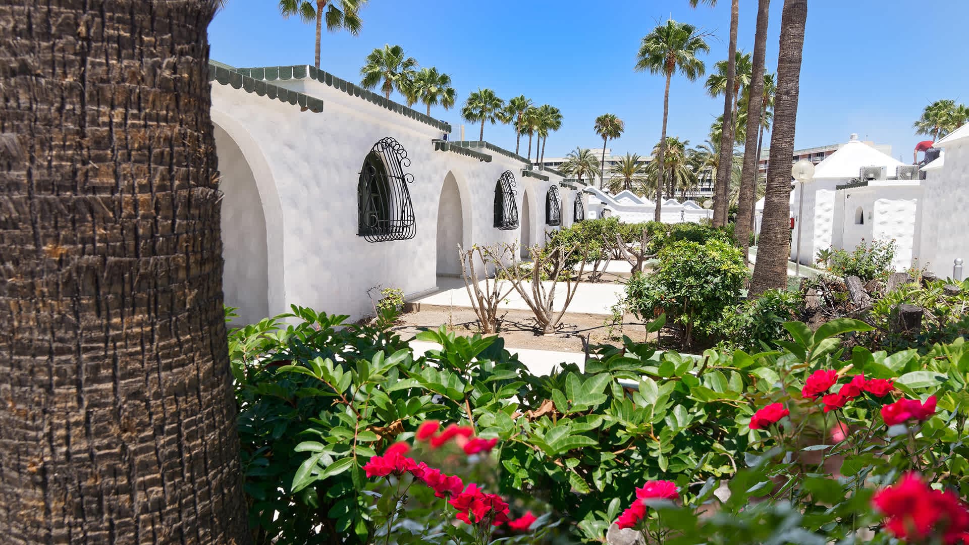 Bungalowhotel Parque del Paraiso II - Erwachsenenhotel Ansicht 3