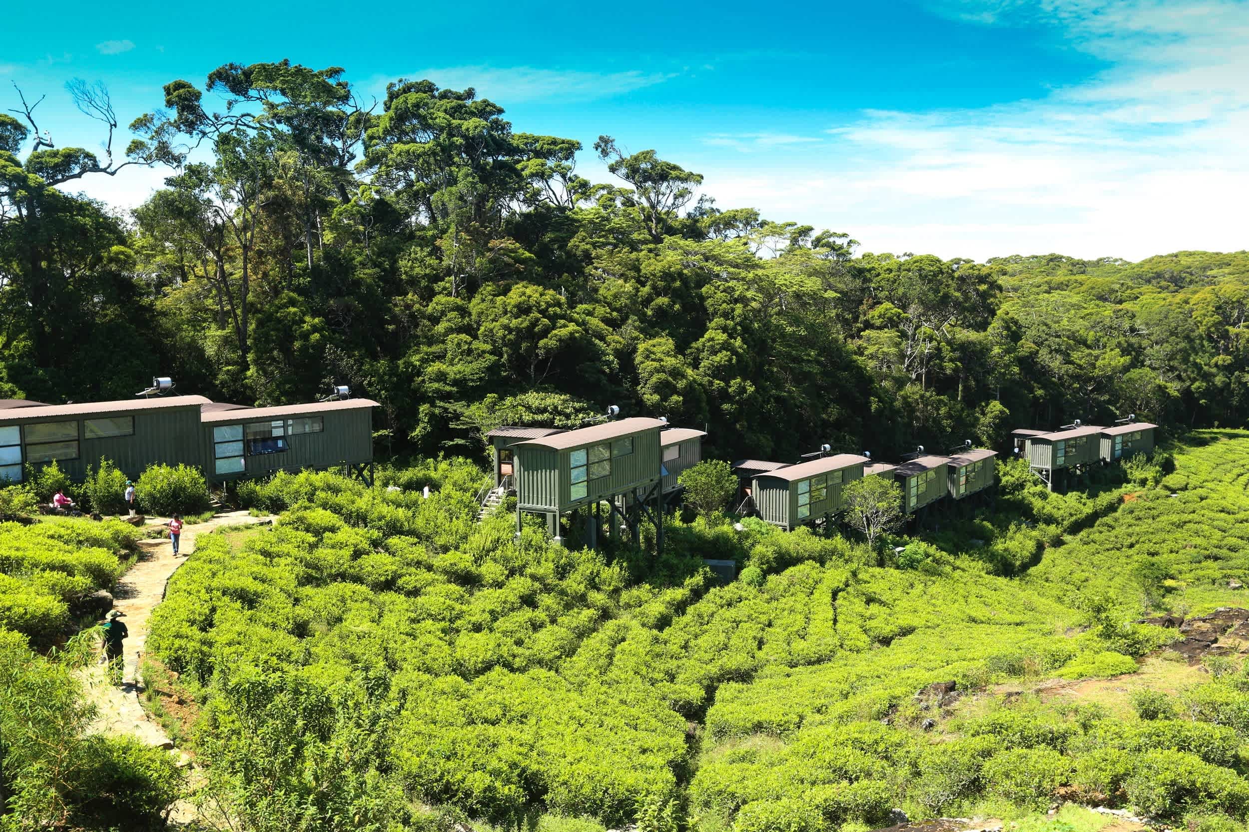 The Rainforest Ecolodge