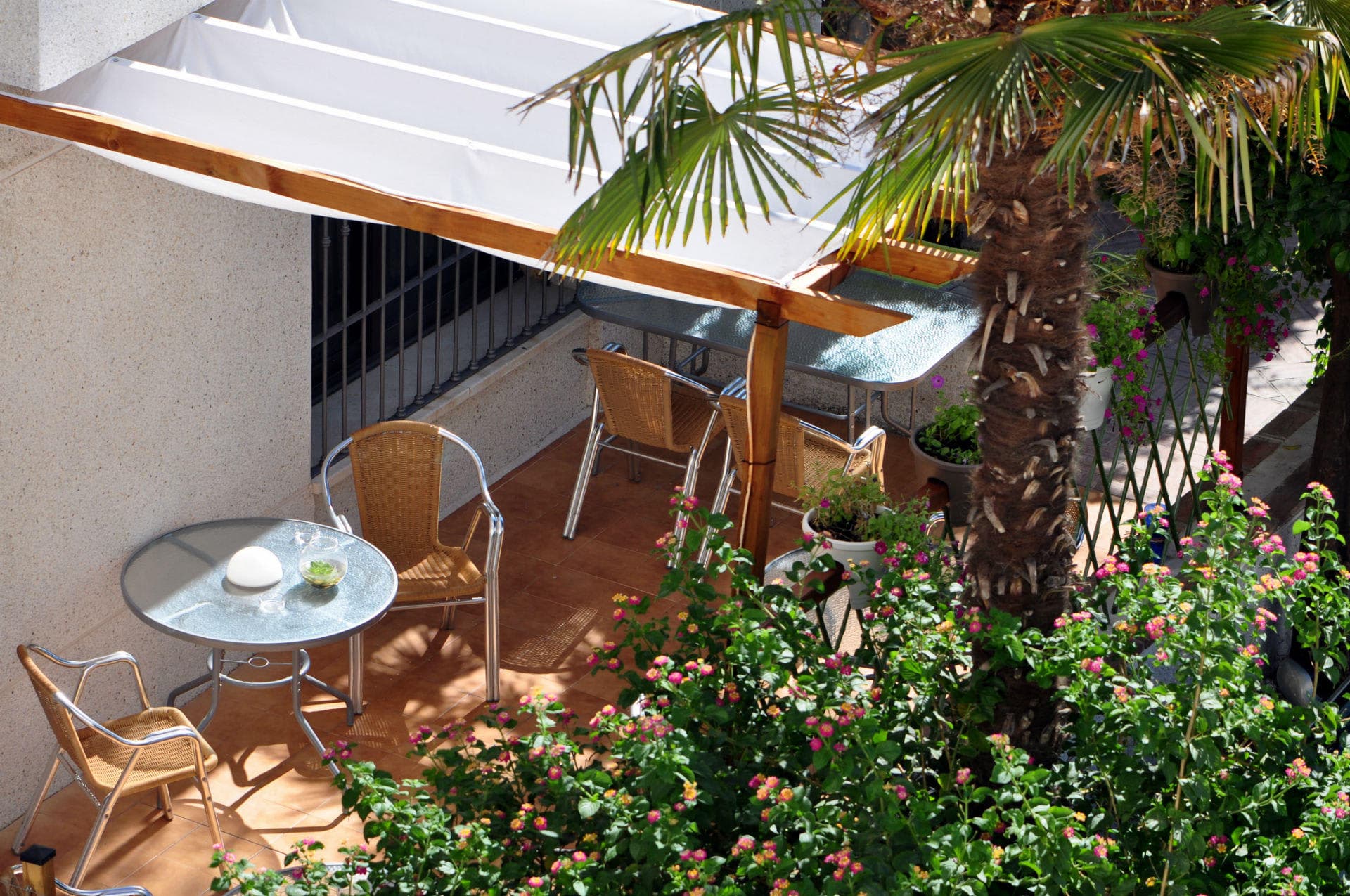 Hotel Oasis Ansicht 9