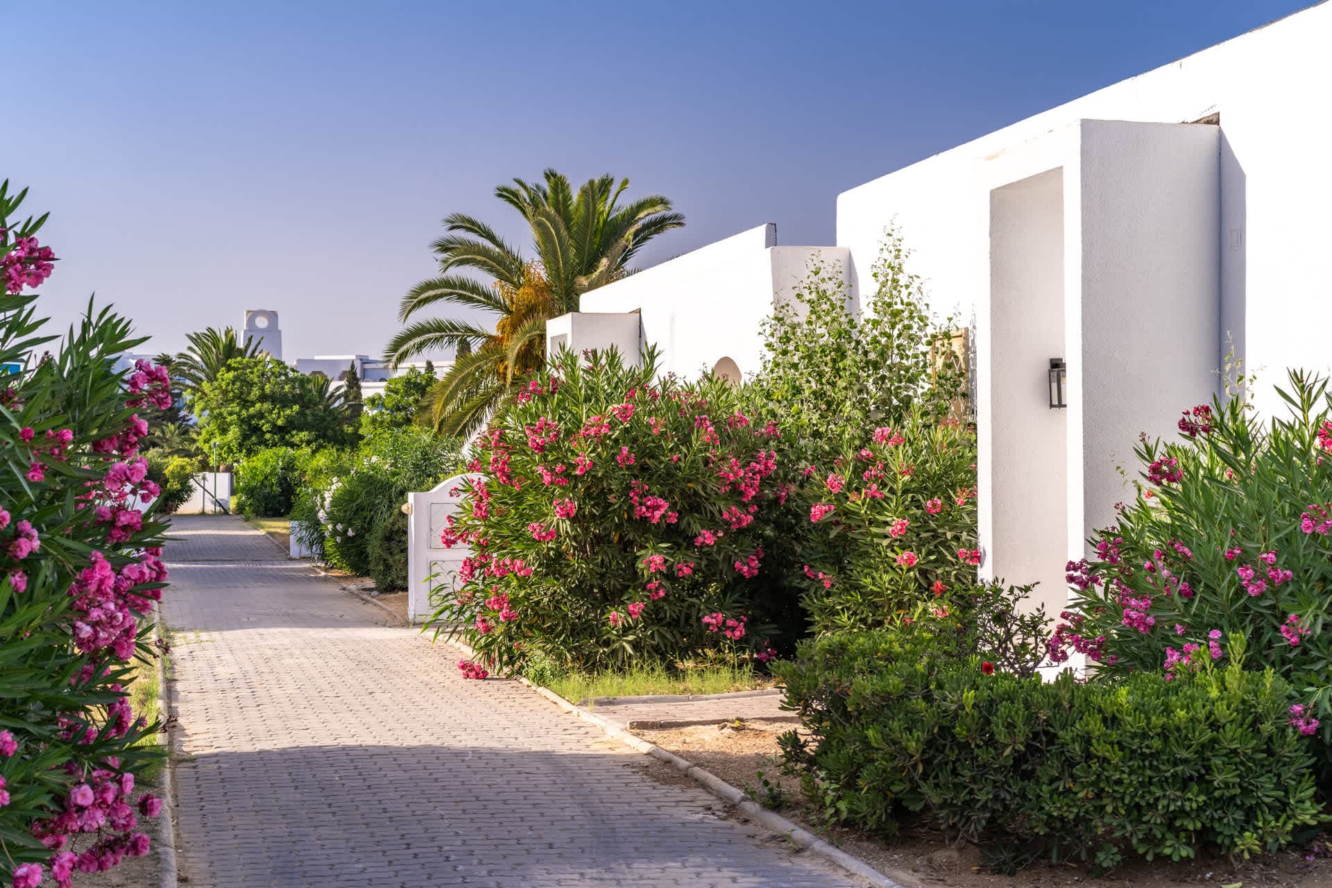 The Mirage Resort & SPA Ansicht 10