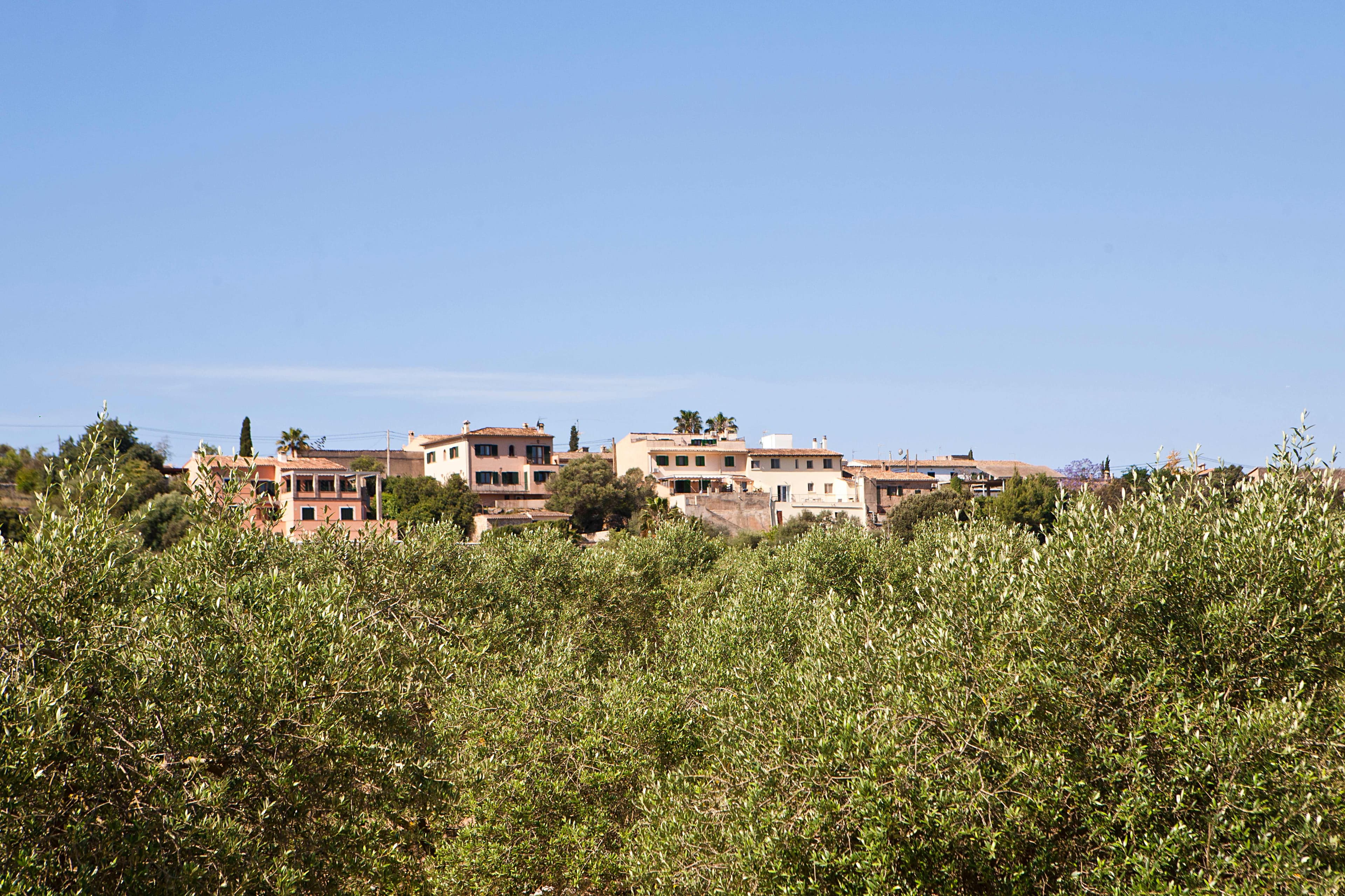 Agroturismo S'Hort de Son Caulelles - Adults only