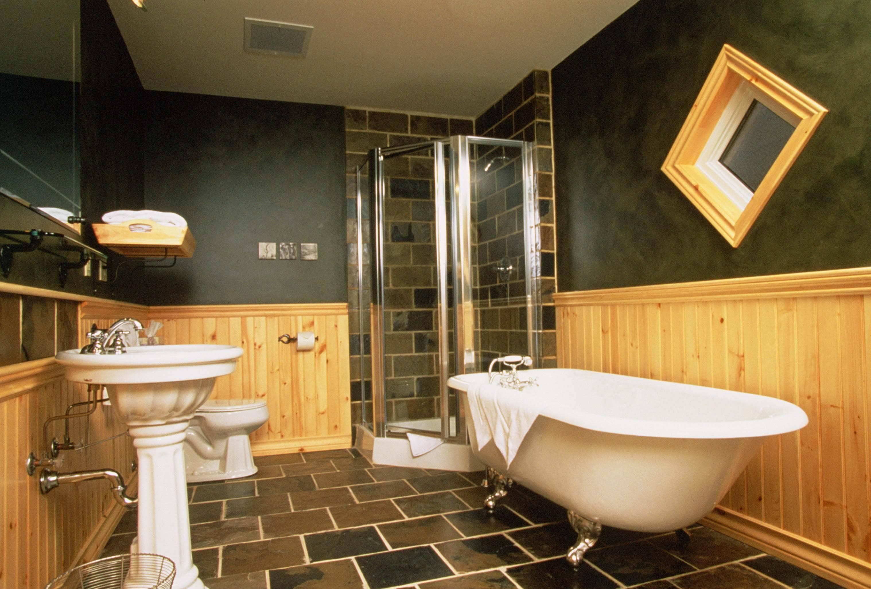Hotel Buffalo Mountain Lodge Ansicht 6