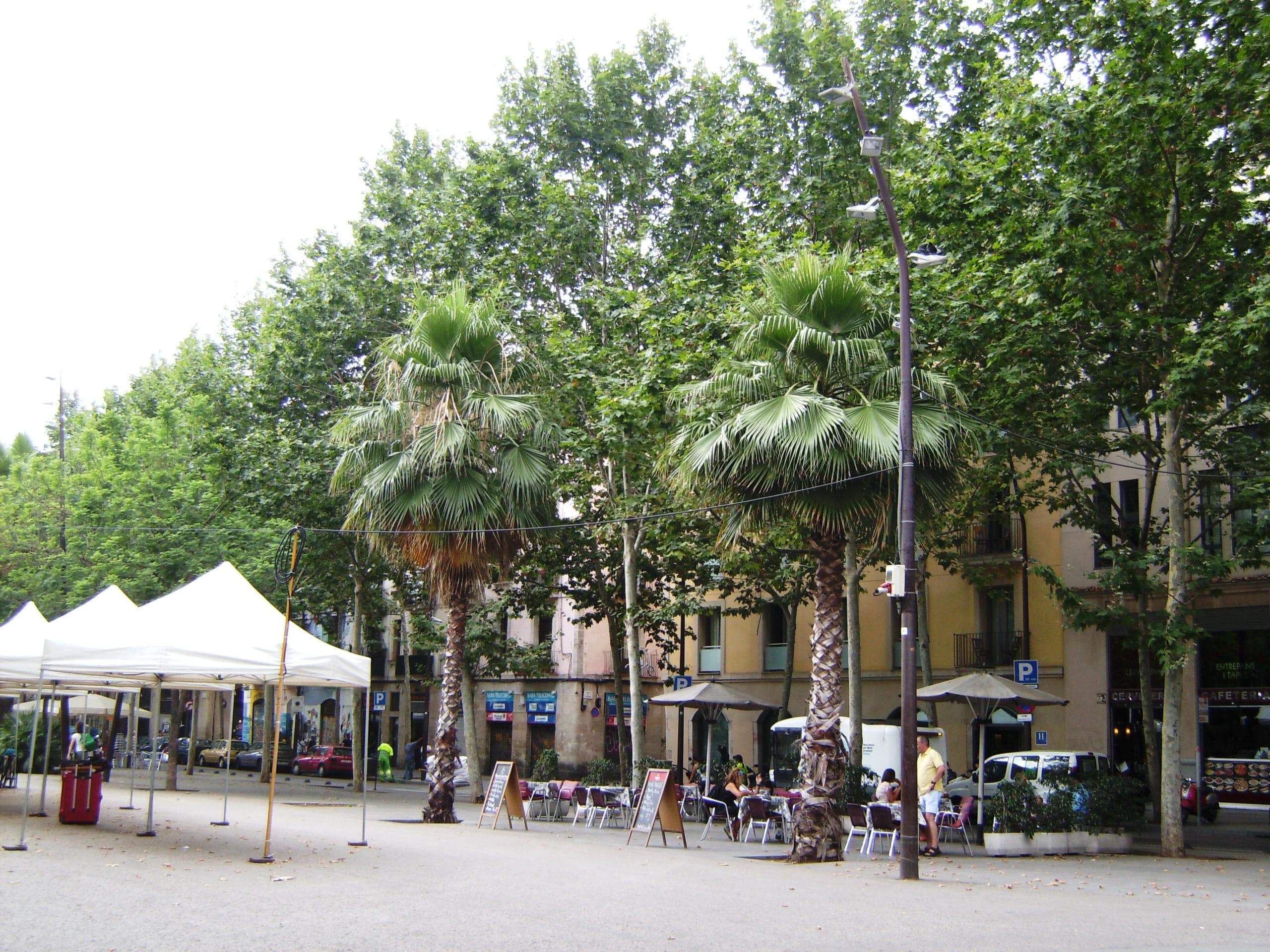 abba Rambla Hotel Ansicht 3