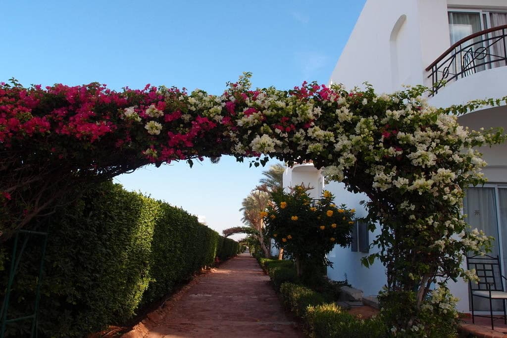 JAZ Fanara Resort Ansicht 3