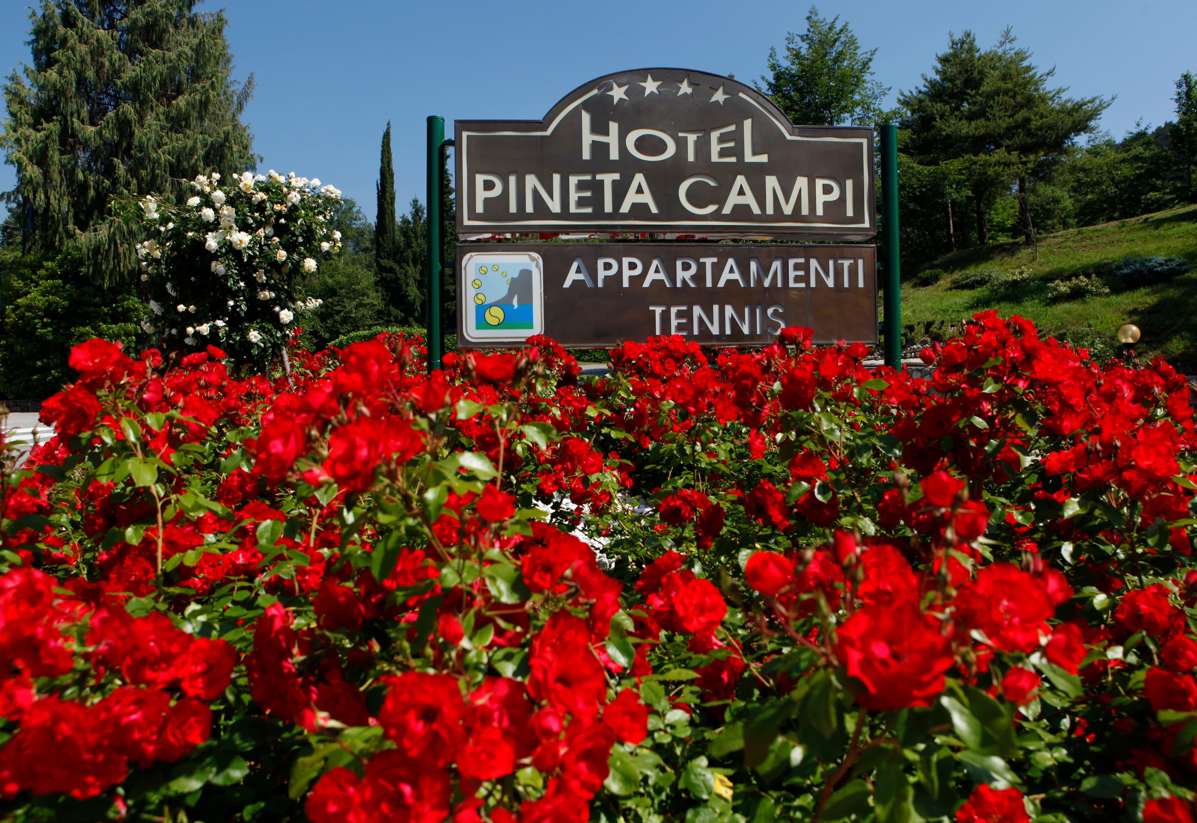 Hotel Pineta Campi Ansicht 2