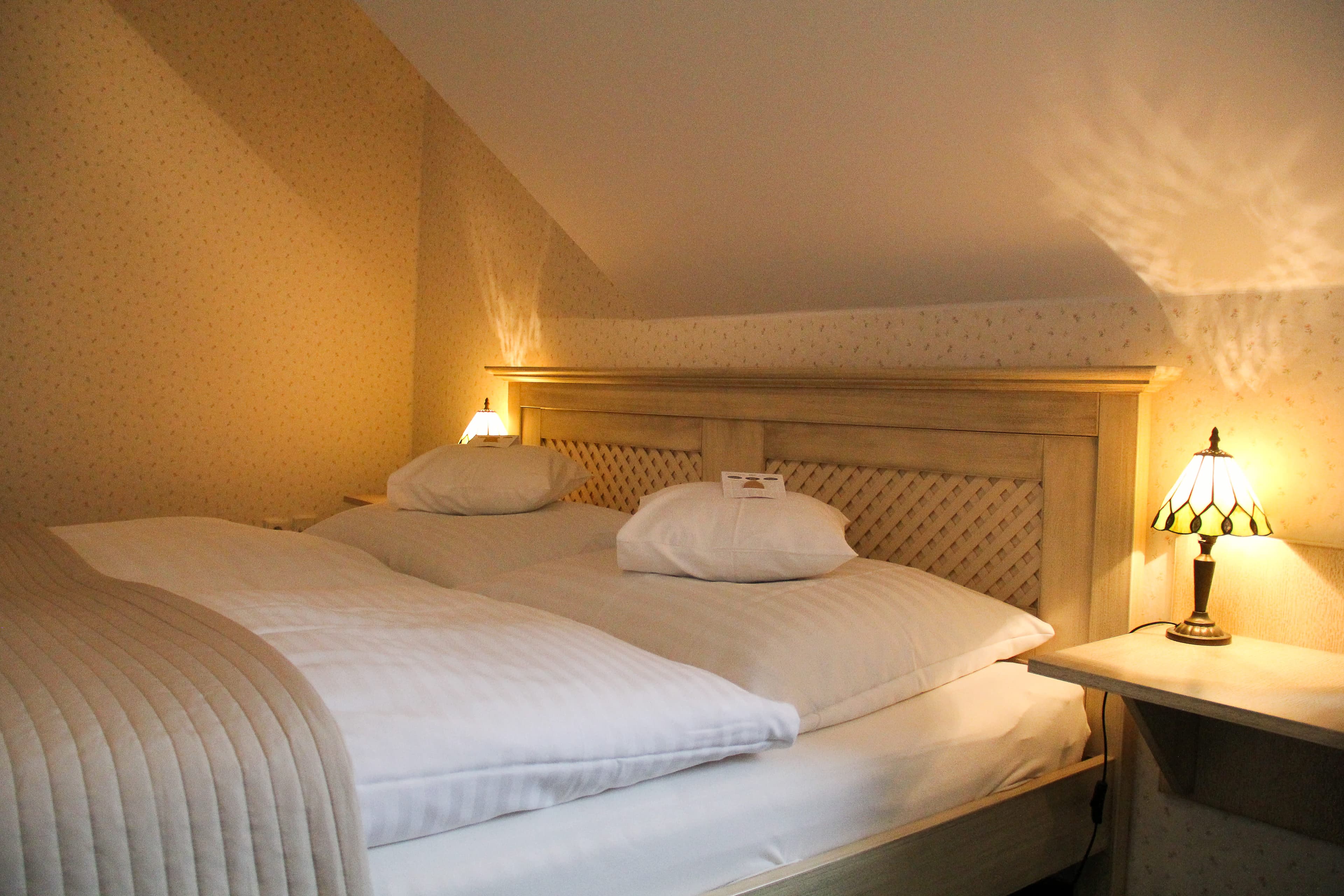 Hotel Maxant Frymburk Ansicht 5