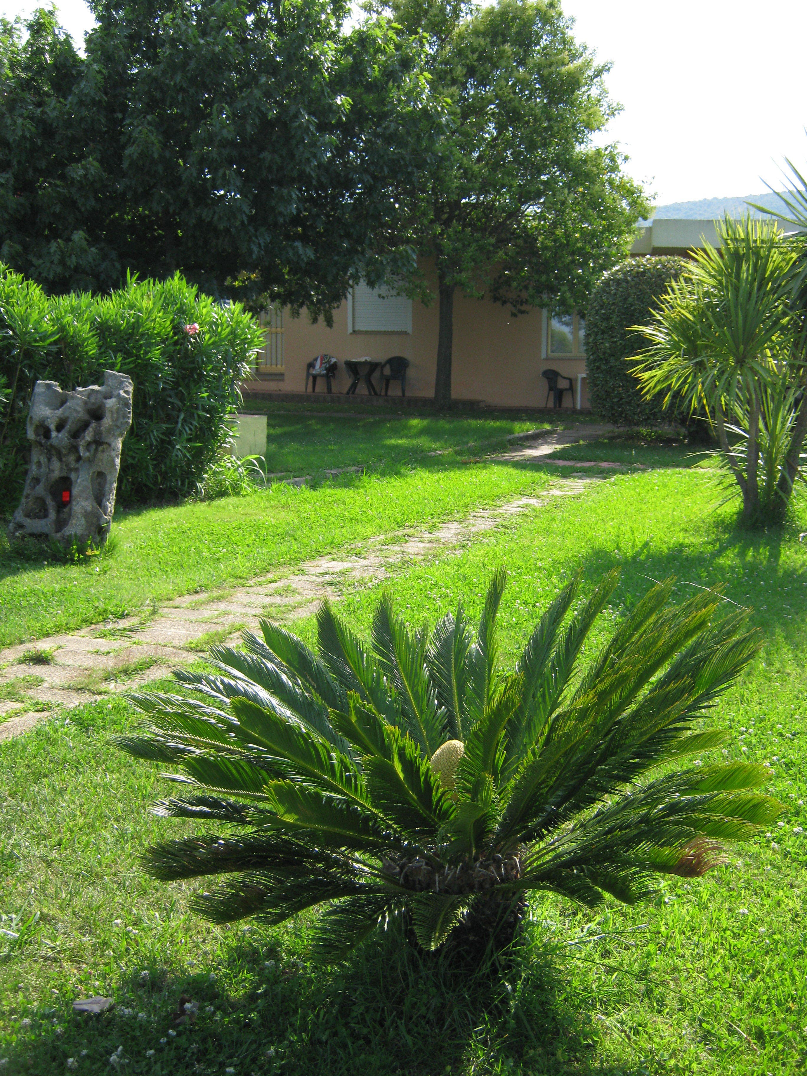 Hotel Le Mimose Ansicht 5