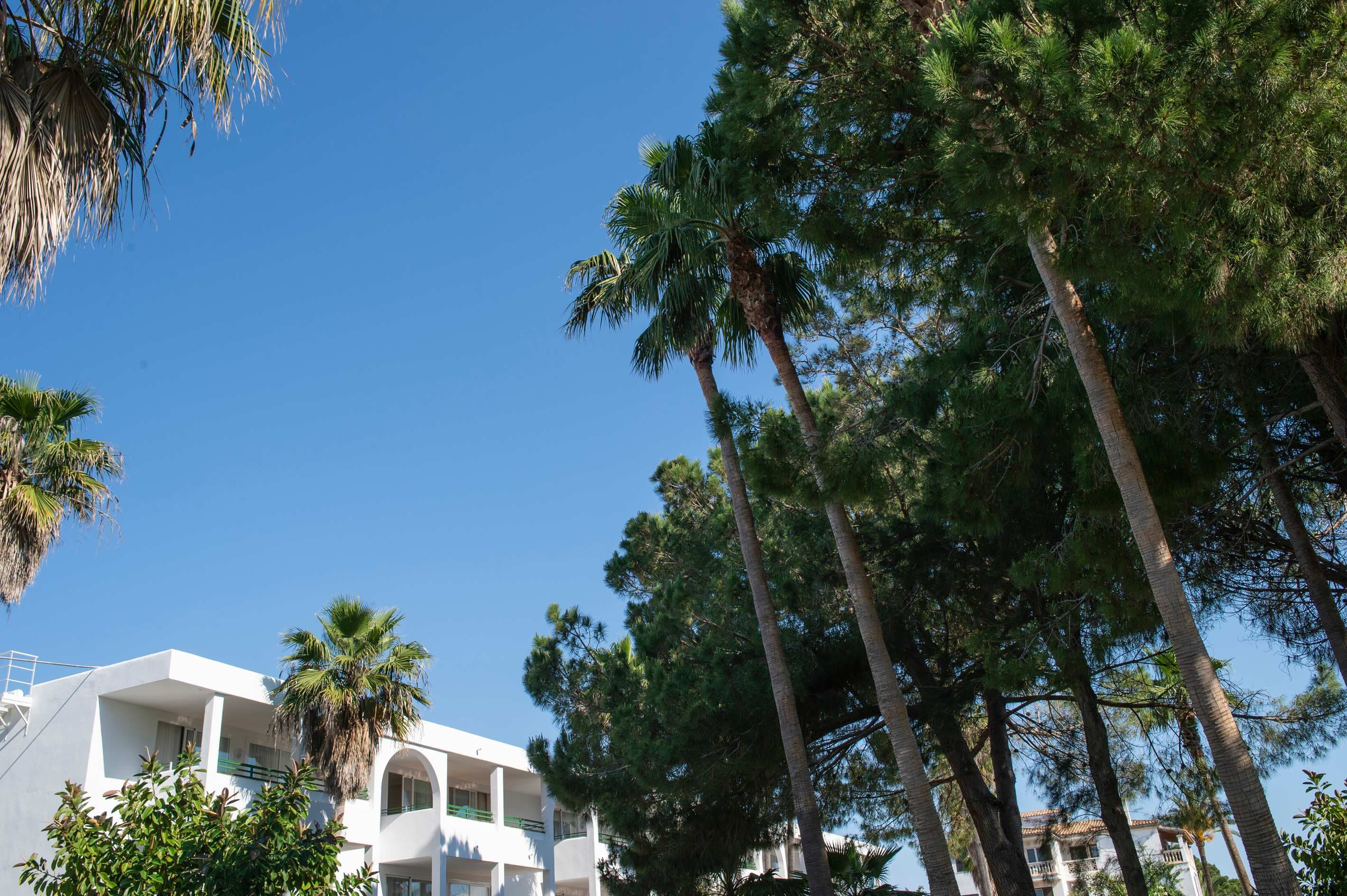Mallorca Cecilia Apartamentos
