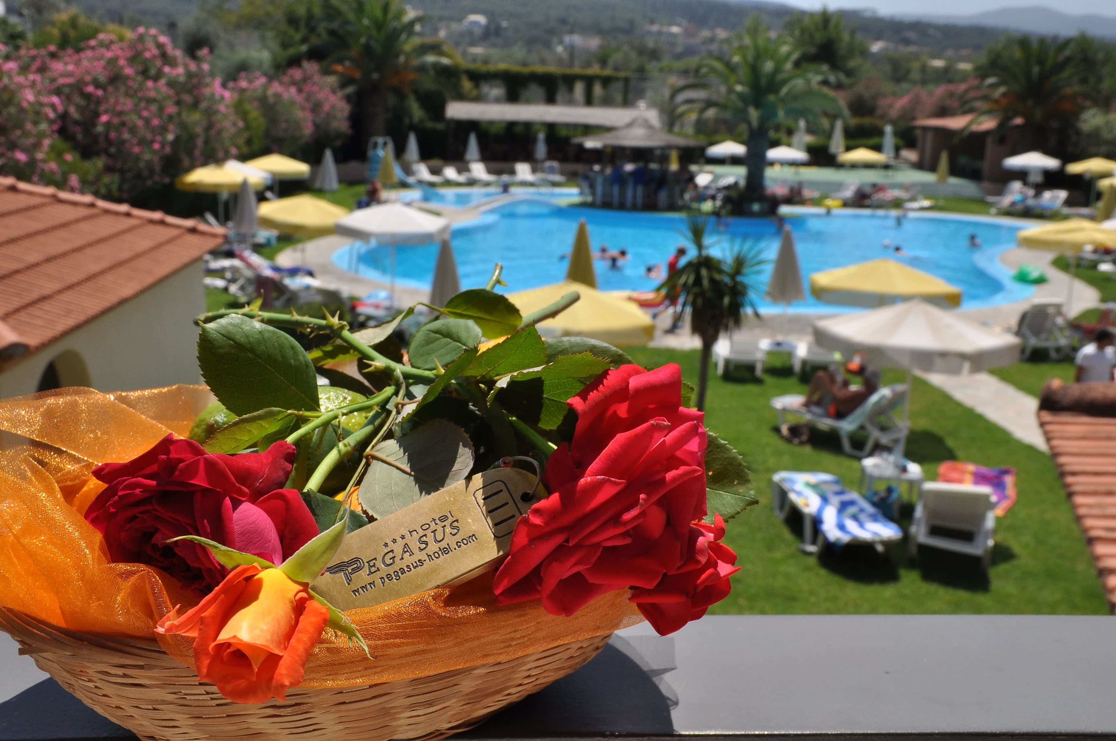Hotel Pegasus Ansicht 8