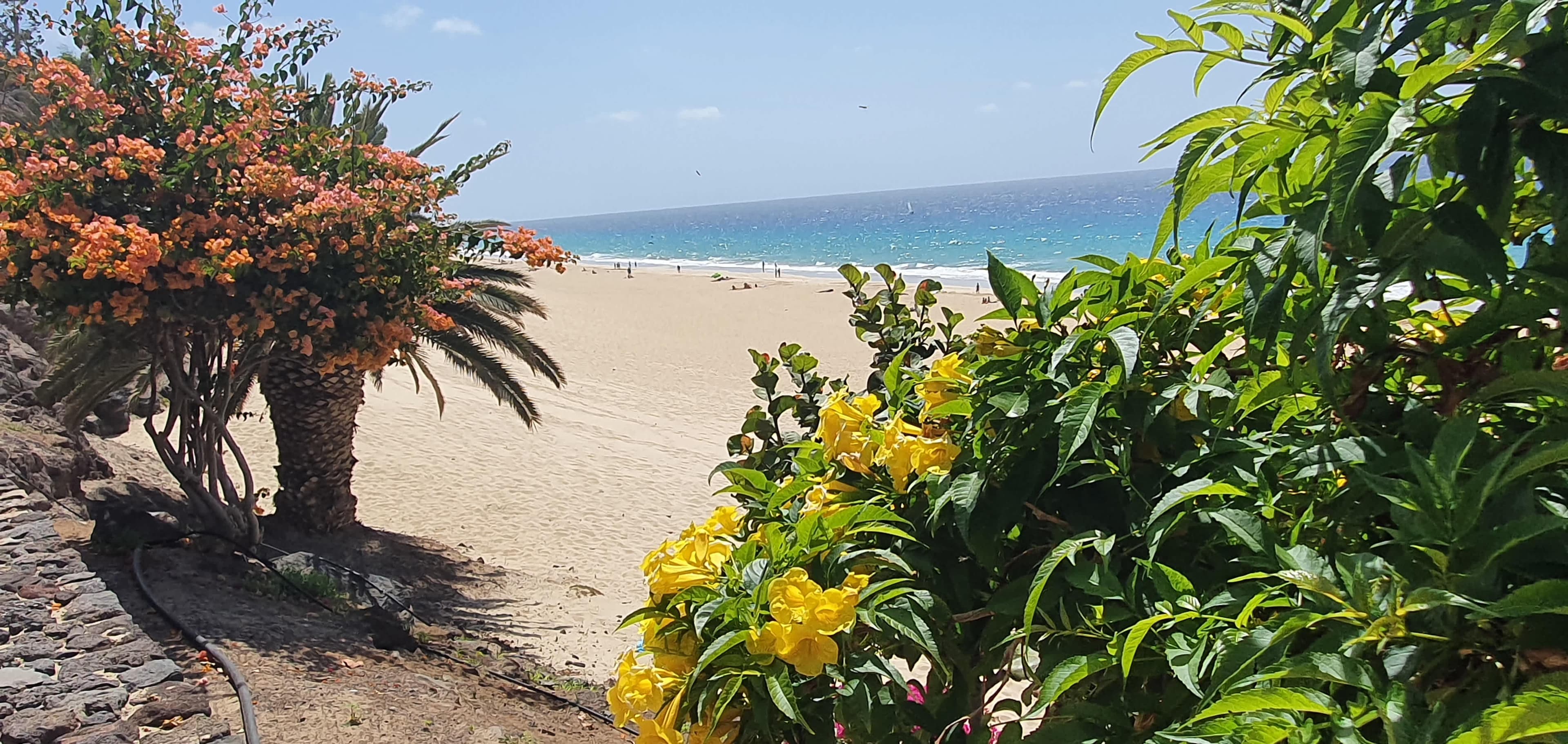 Hotel La Colina Ansicht 7