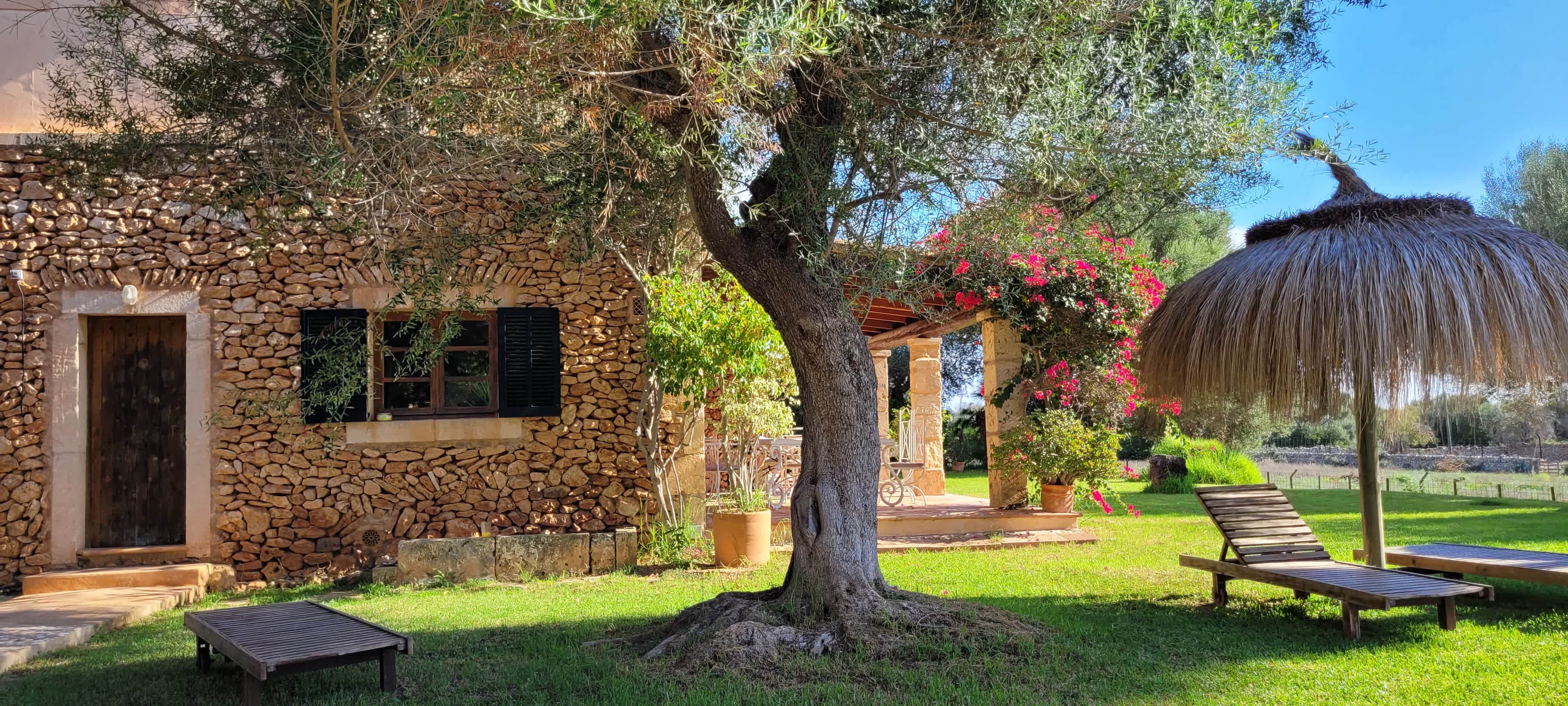 Finca S'Antigor Ansicht 8