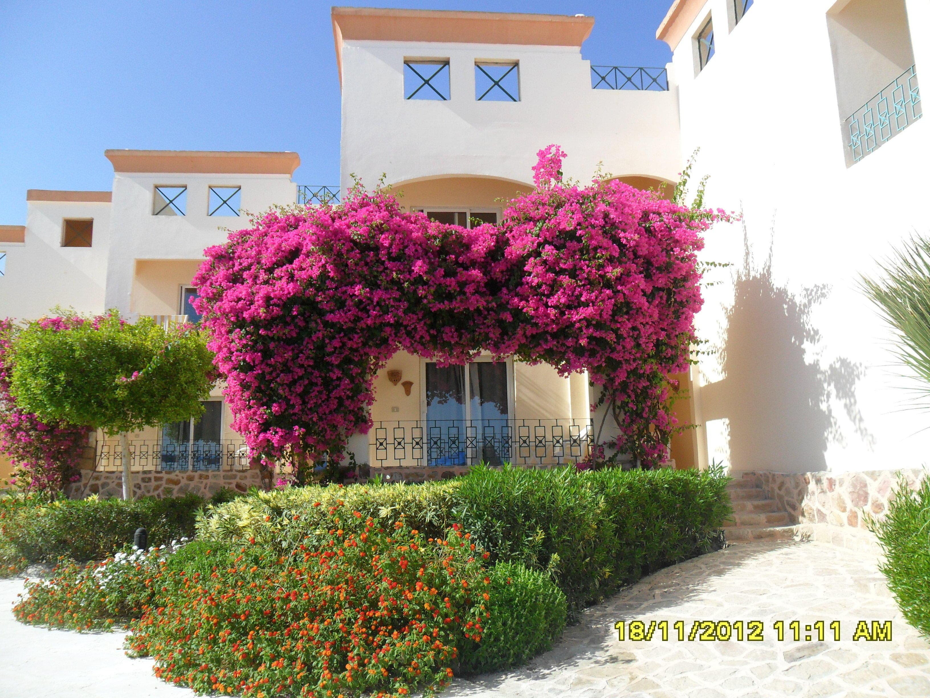Blue Reef Red Sea Resort Ansicht 2