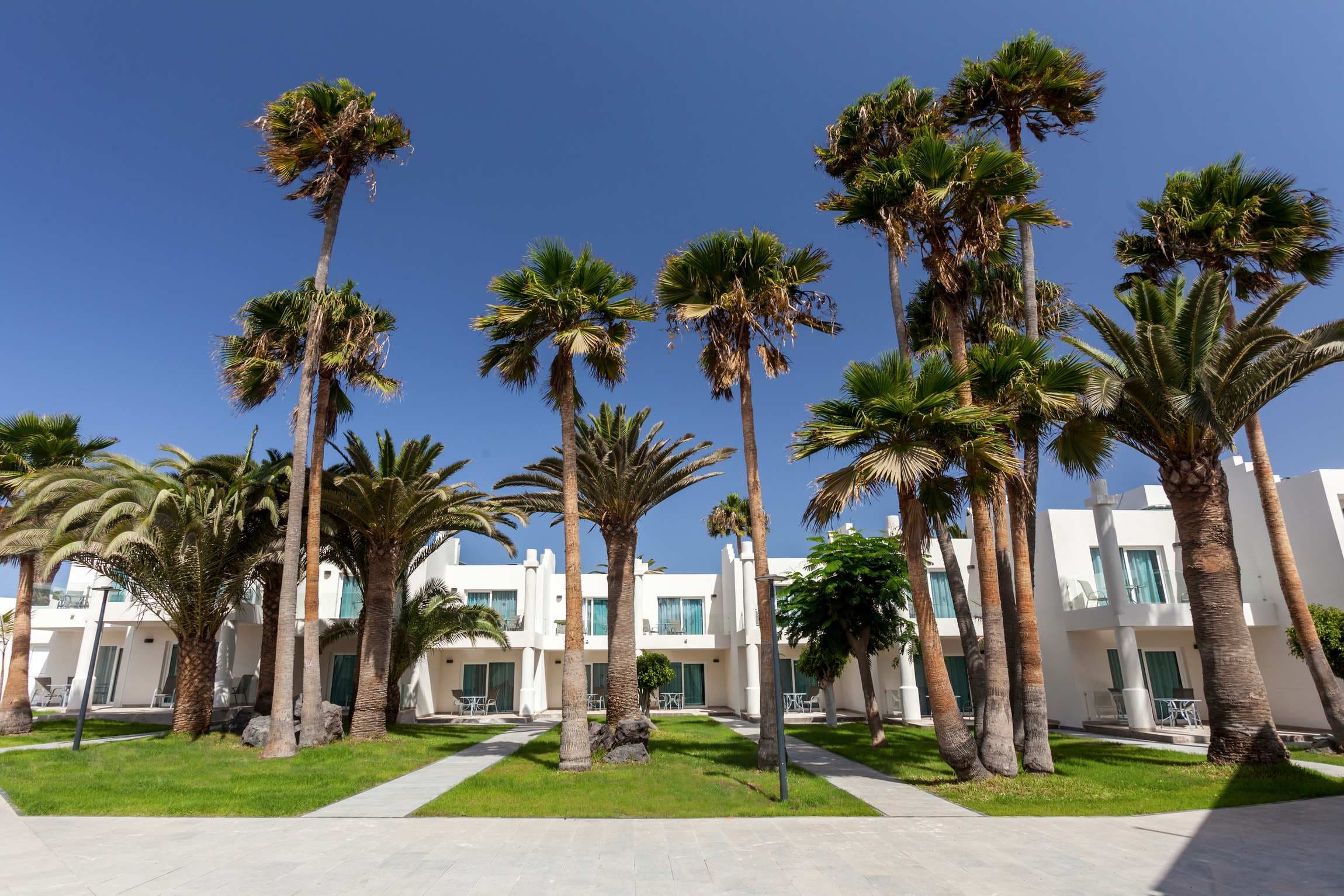 Barceló Corralejo Sands Ansicht 3