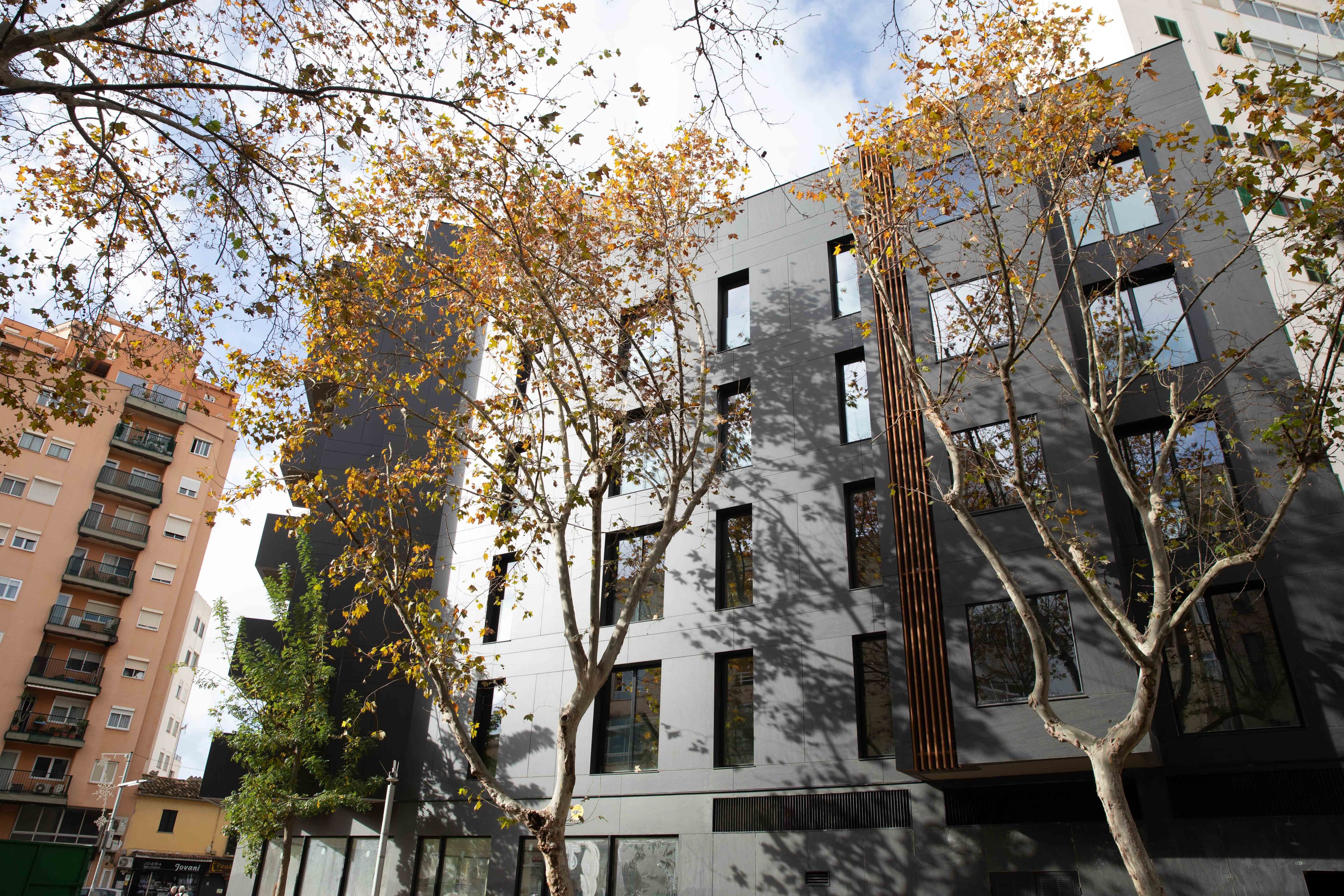 JS Palma Plaza Ansicht 7
