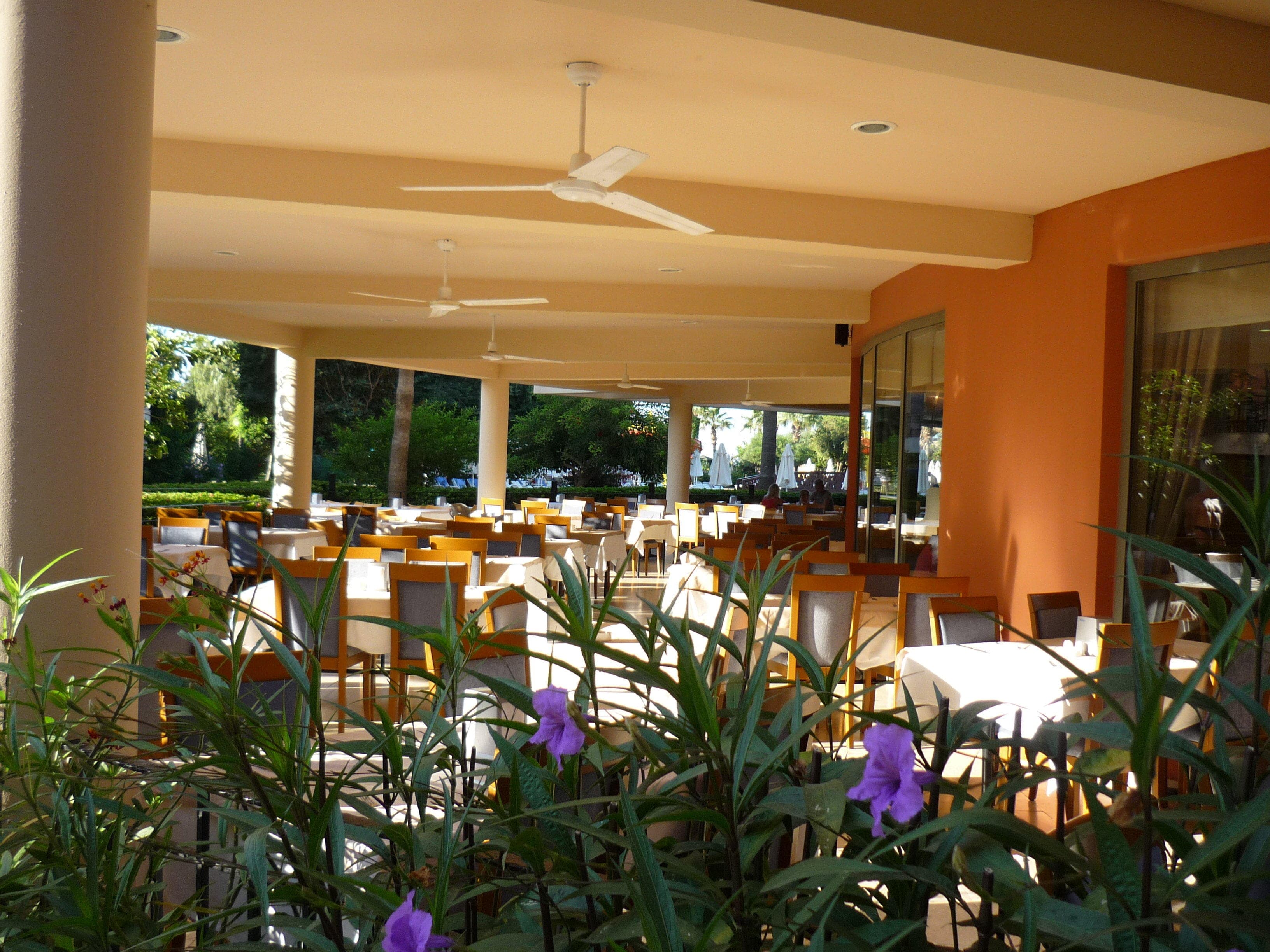 Palmeras Beach Hotel Ansicht 9