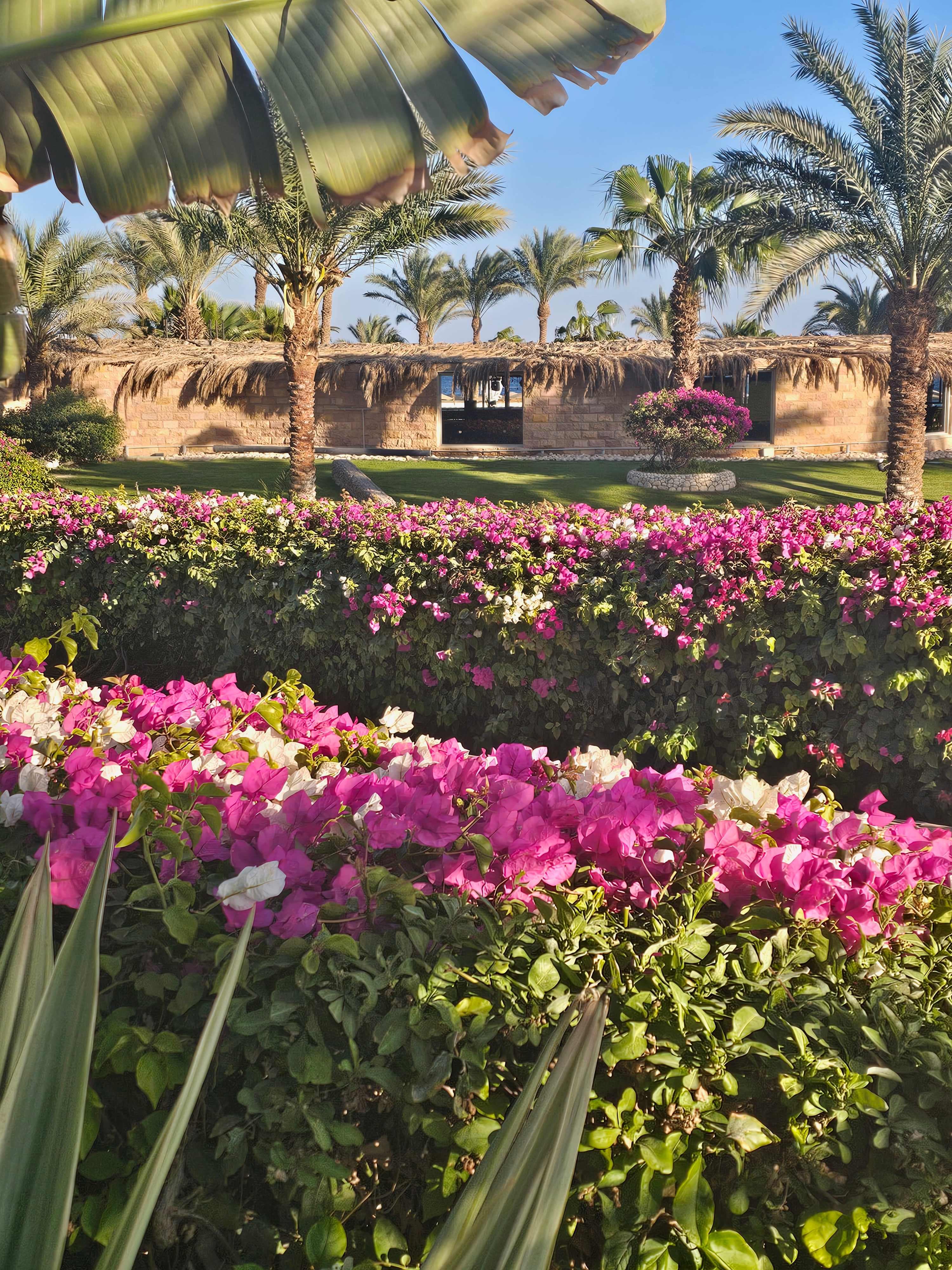 Fort Arabesque - The West Bay