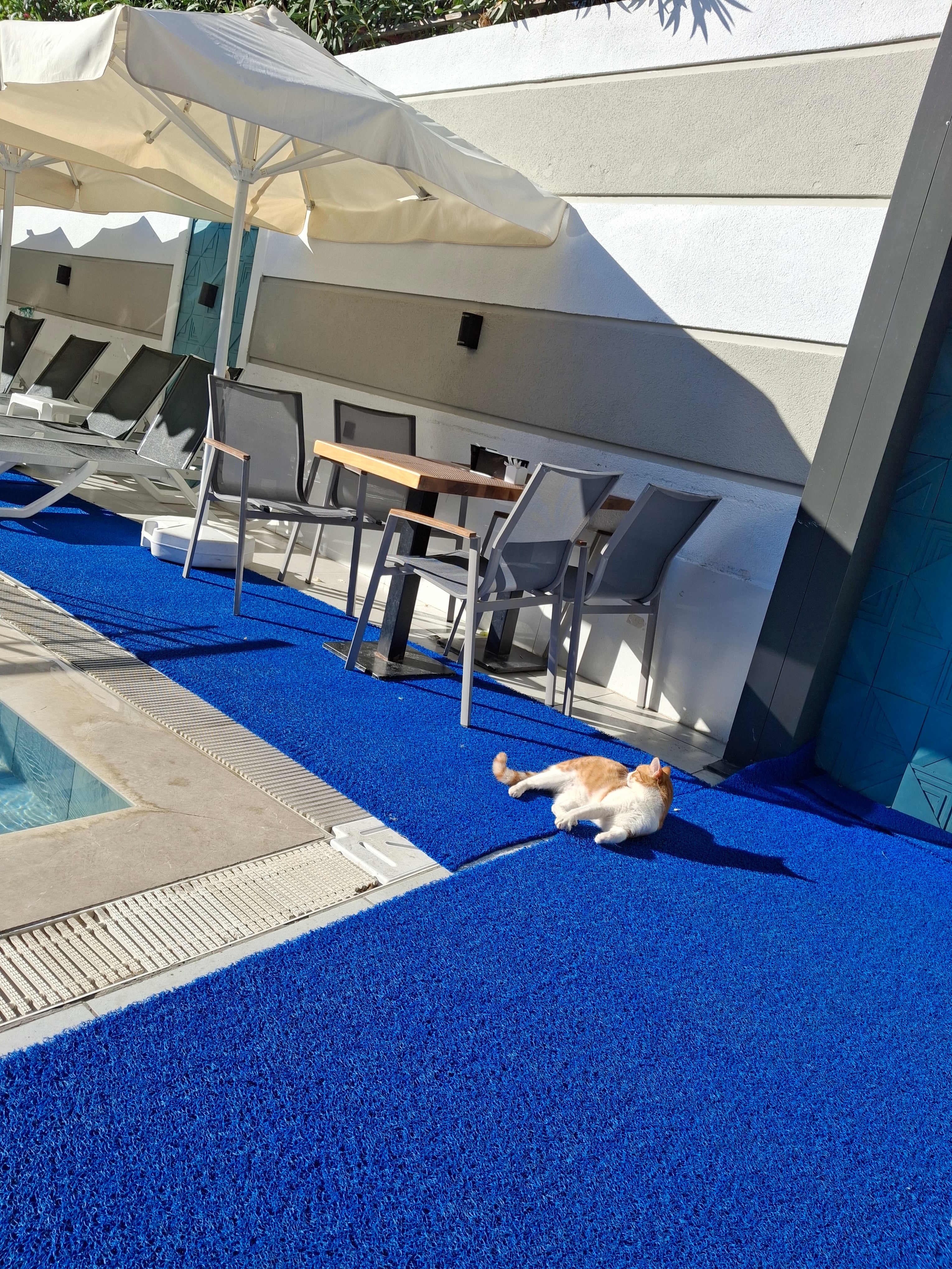 Alessia Hotel & Spa Ansicht 8
