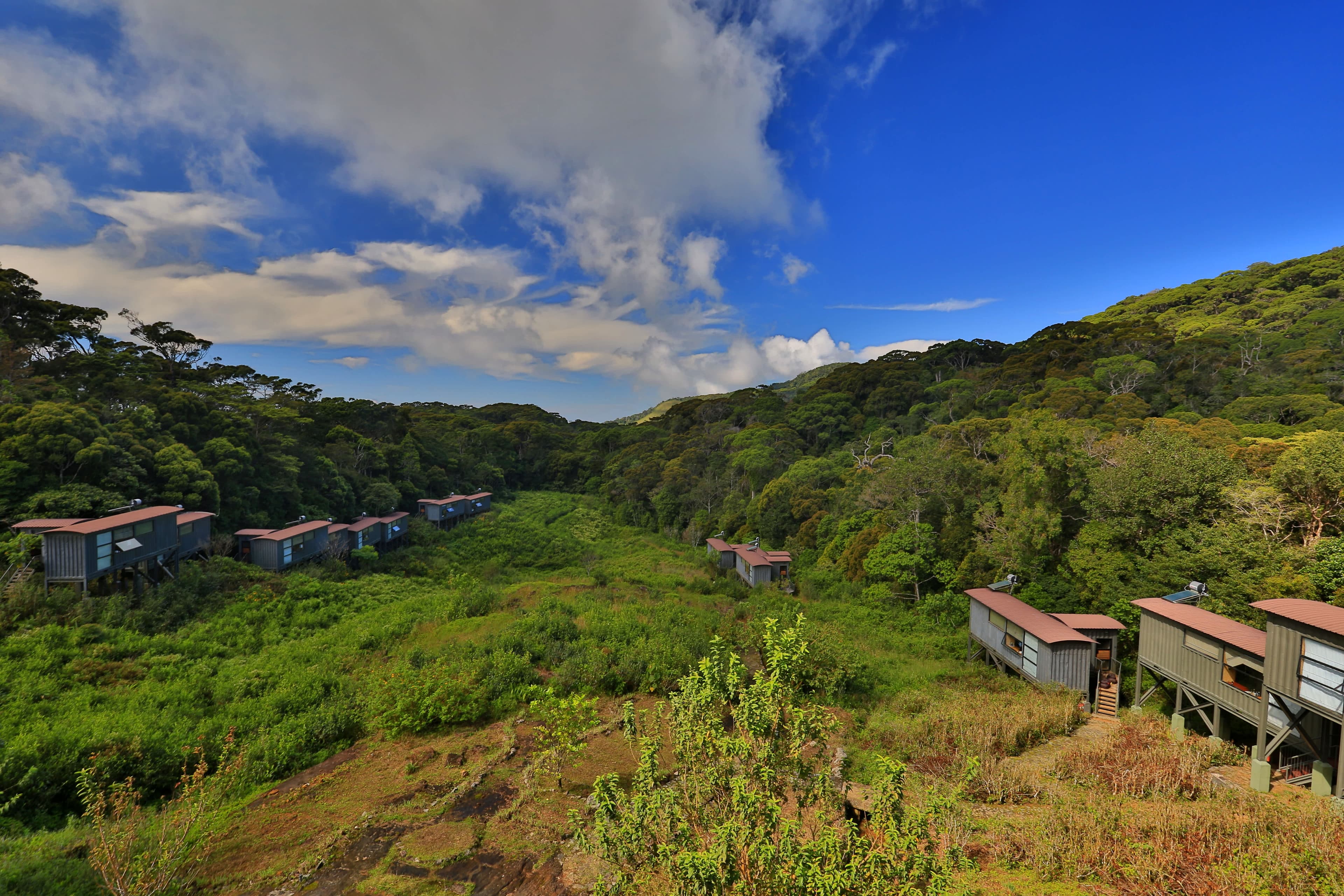 The Rainforest Ecolodge Ansicht 3