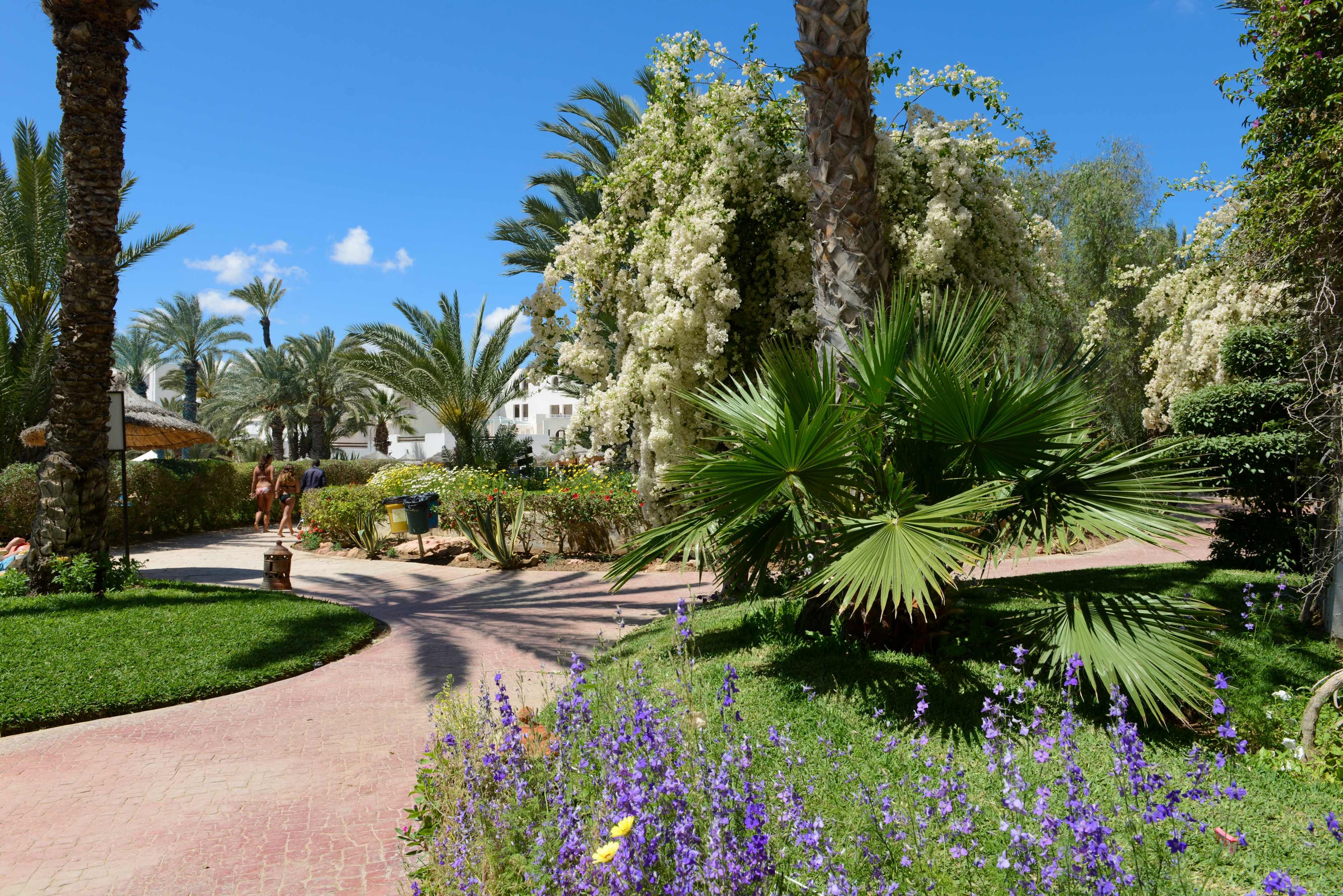 Hotel Djerba Resort Ansicht 8