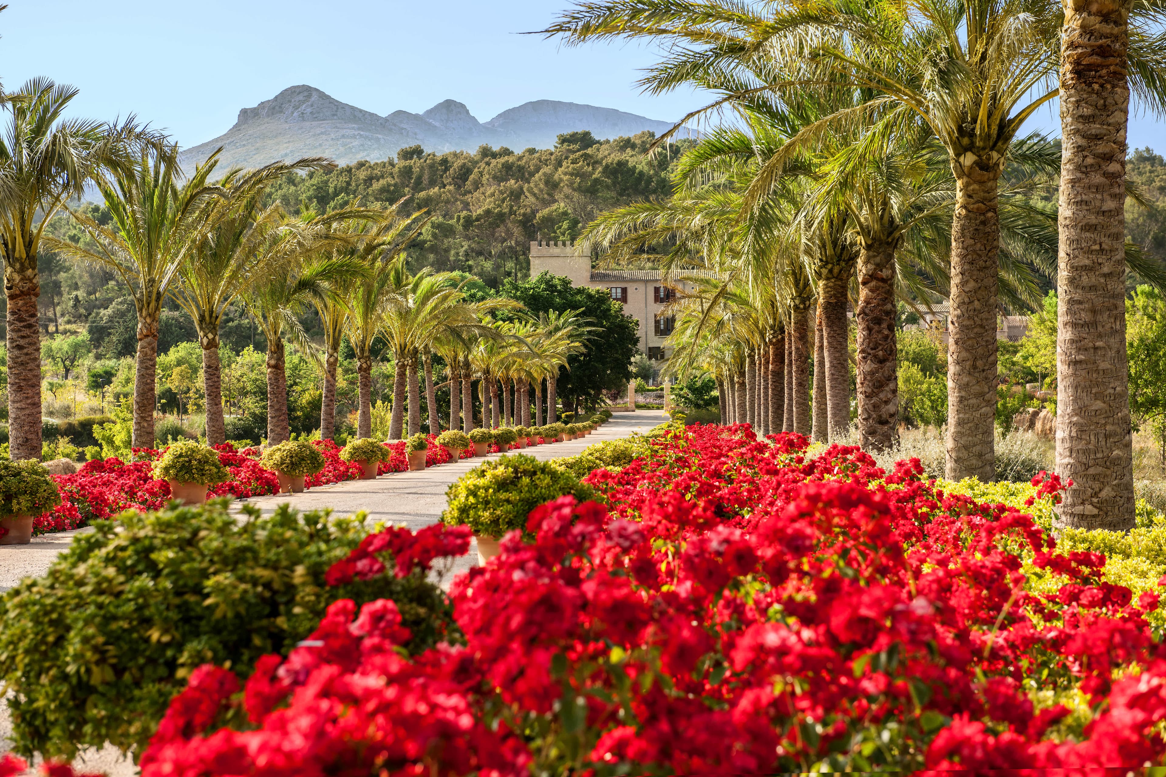 Hotel Castell Son Claret