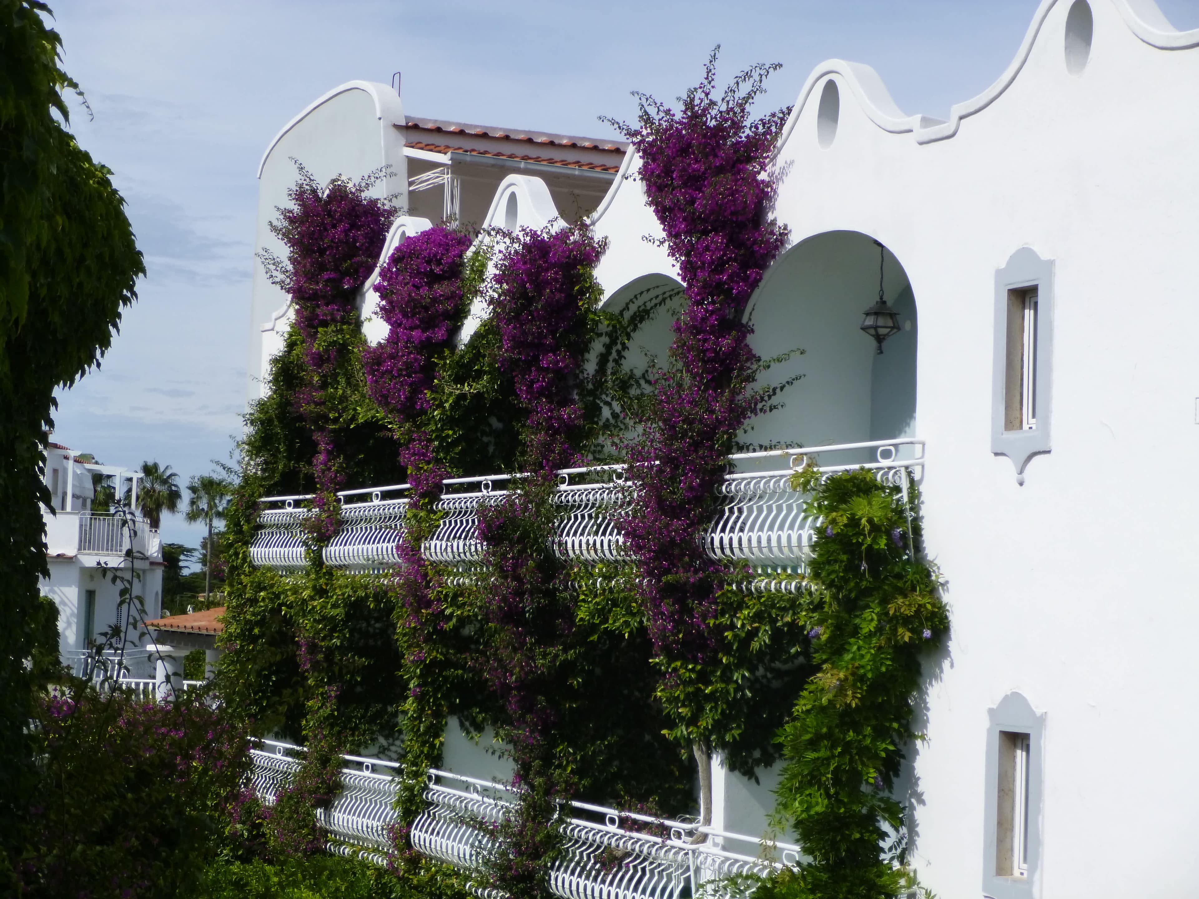 Hotel Continental Terme