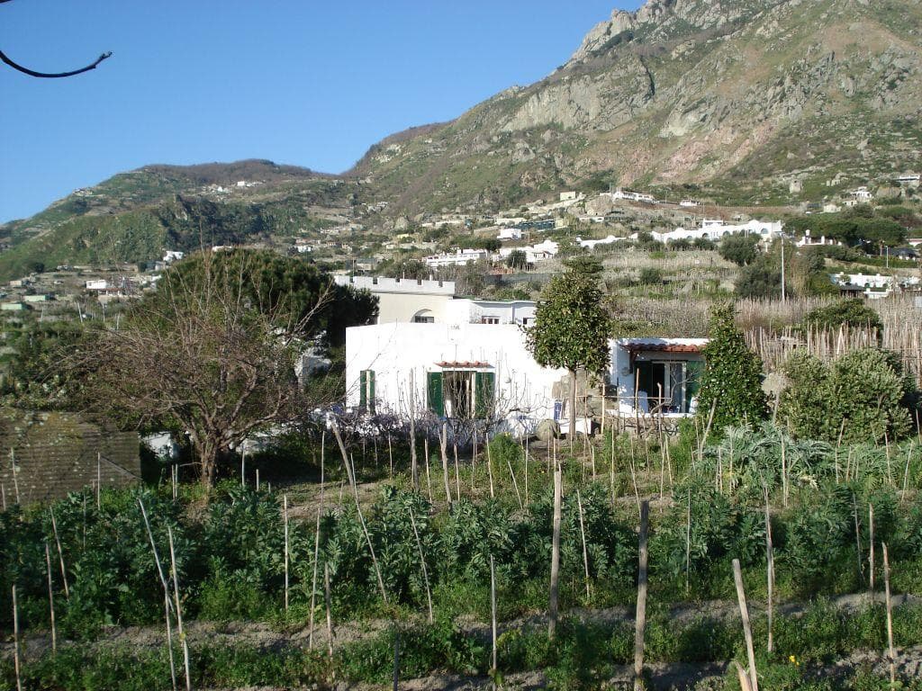 Park Hotel Terme Mediterraneo Ansicht 3