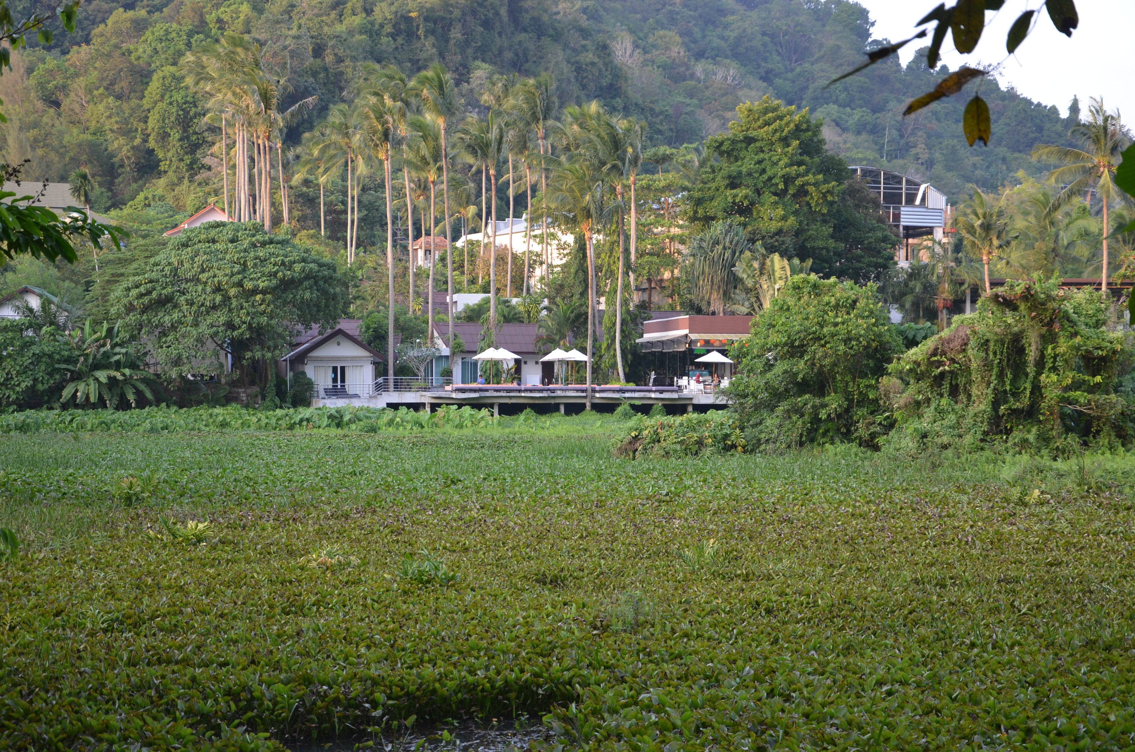Hotel Ao Nang Paradise Resort Ansicht 2