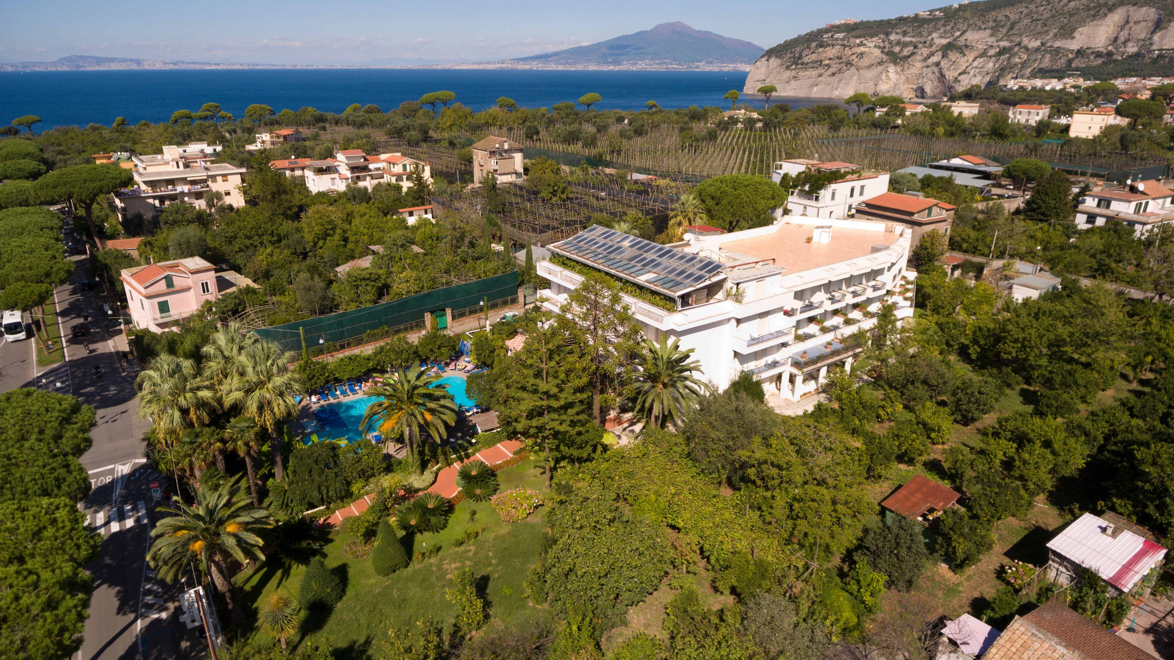 Hotel Alpha