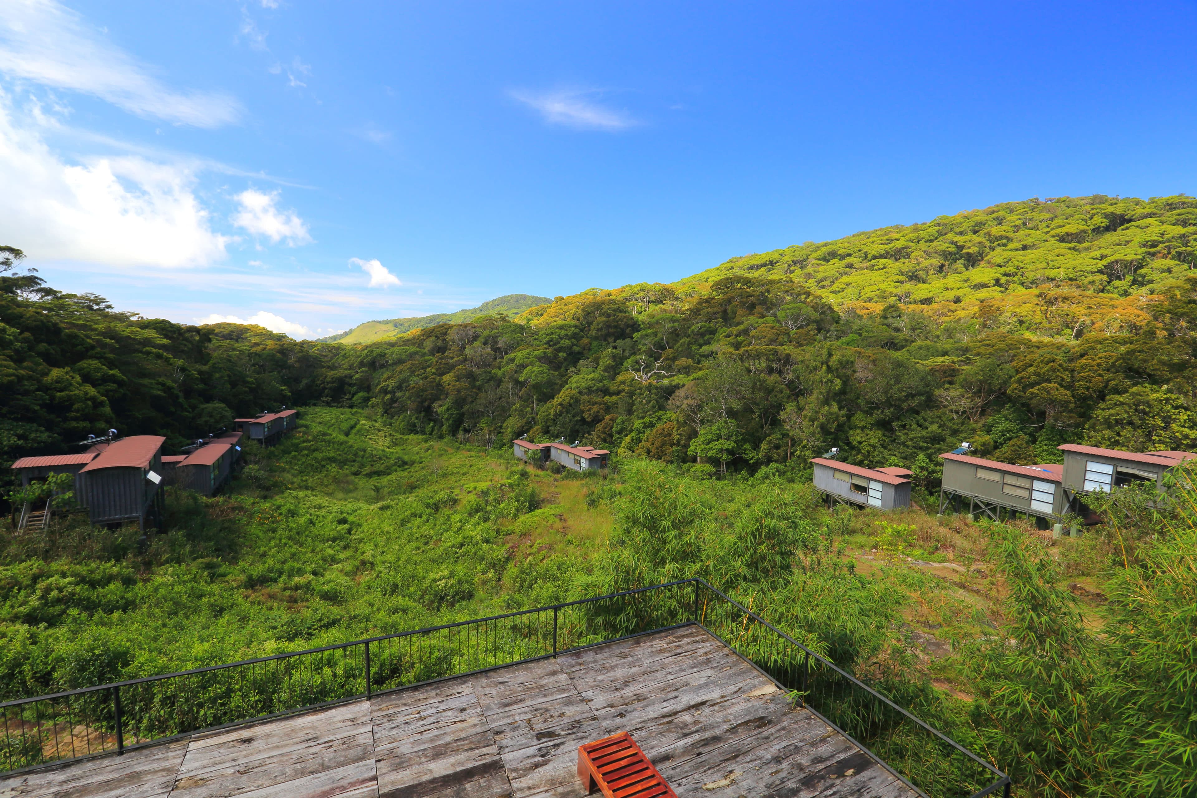 The Rainforest Ecolodge Ansicht 8