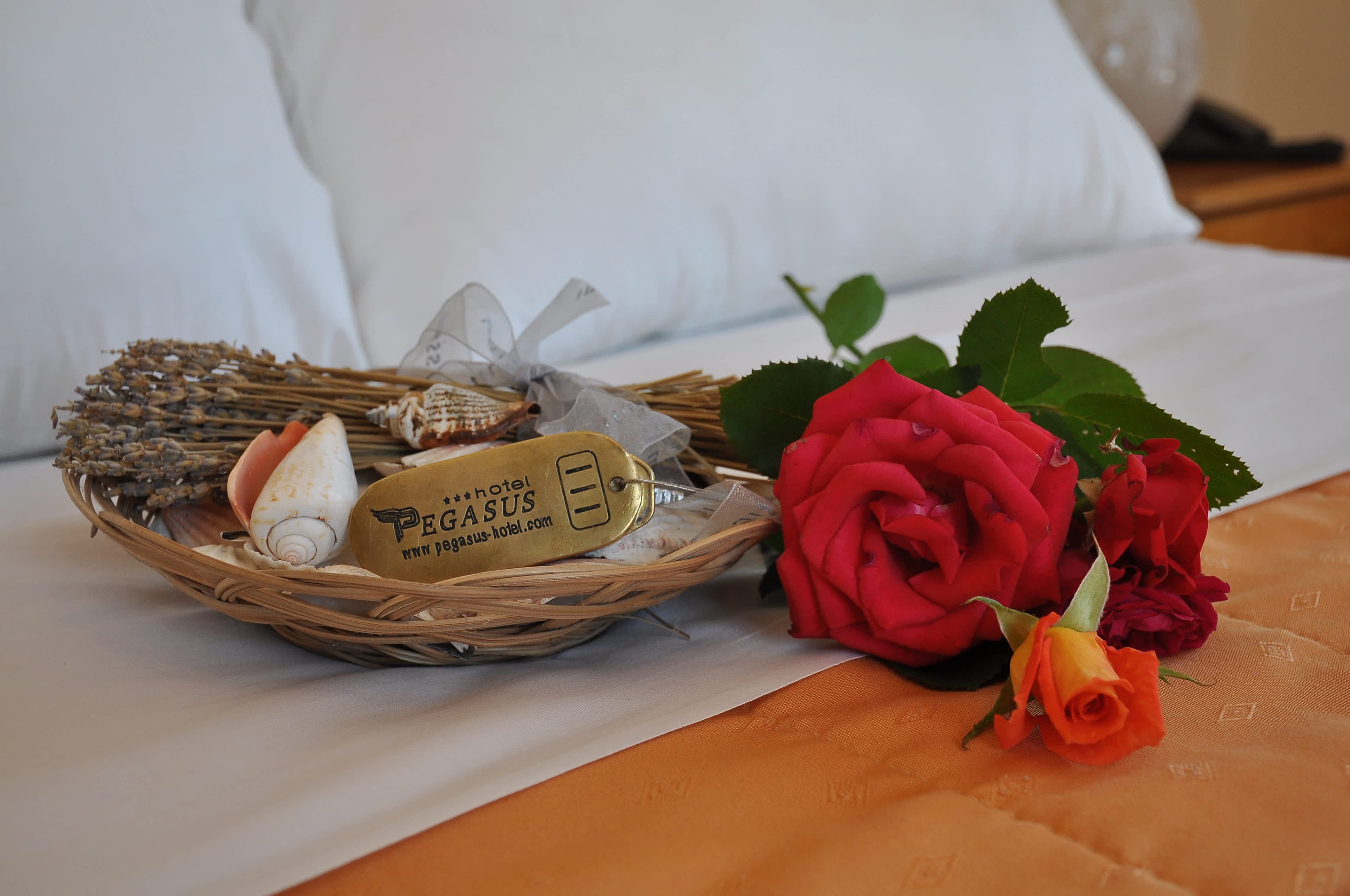Hotel Pegasus Ansicht 5