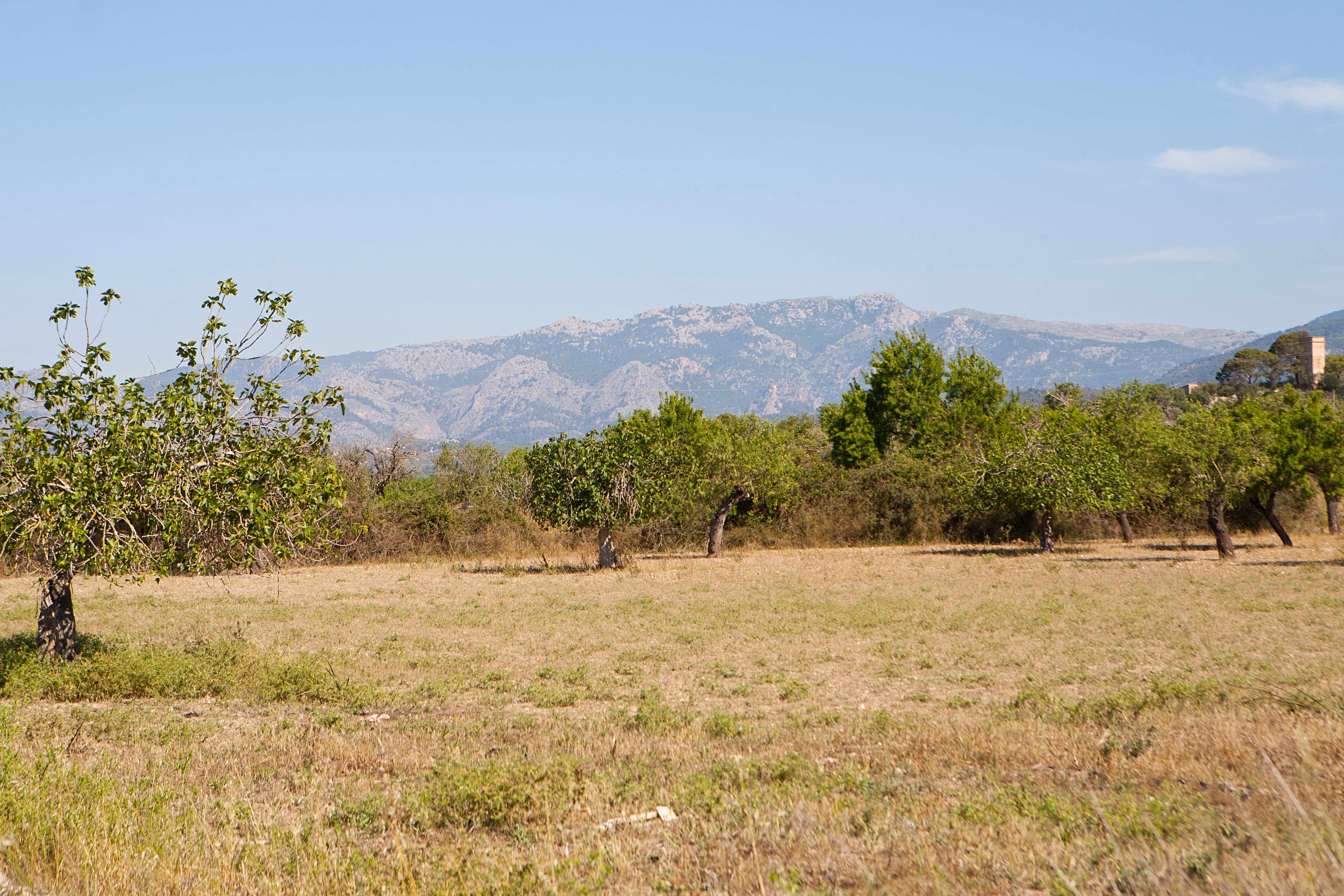 Agroturismo S'Hort de Son Caulelles - Adults only Ansicht 8