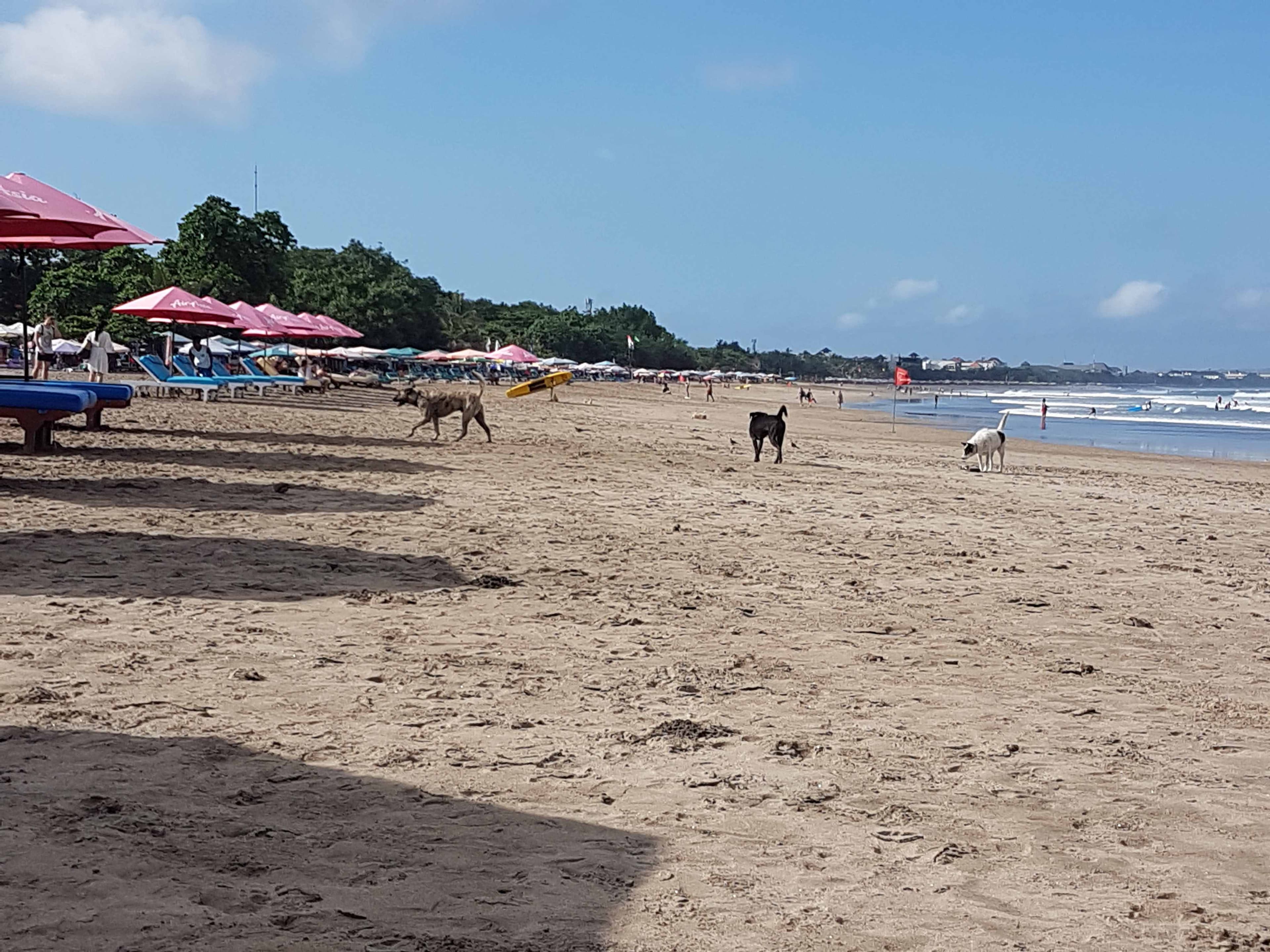 Courtyard Hotel Bali Seminyak Ansicht 7
