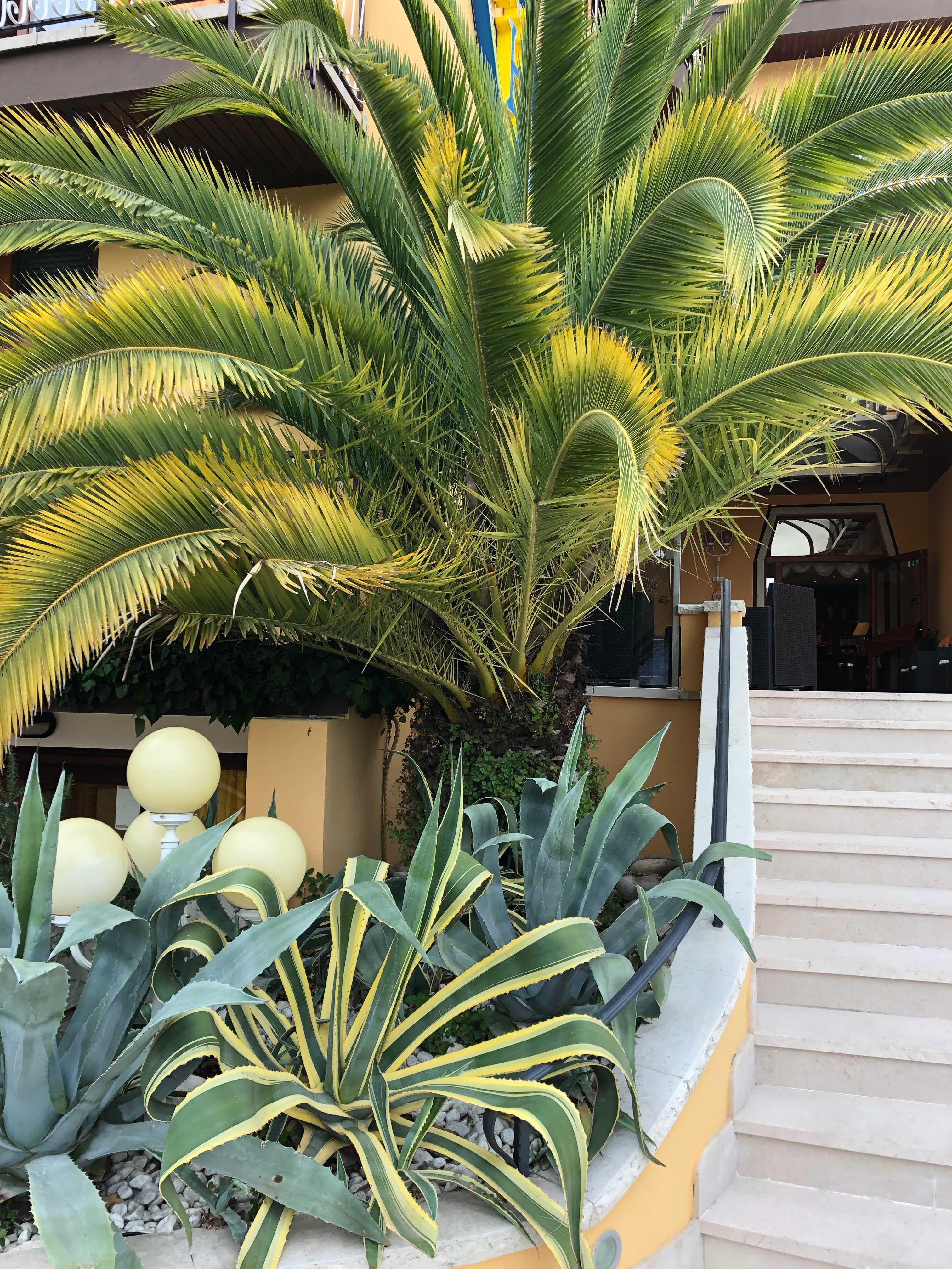 Hotel Cristallo Ansicht 3