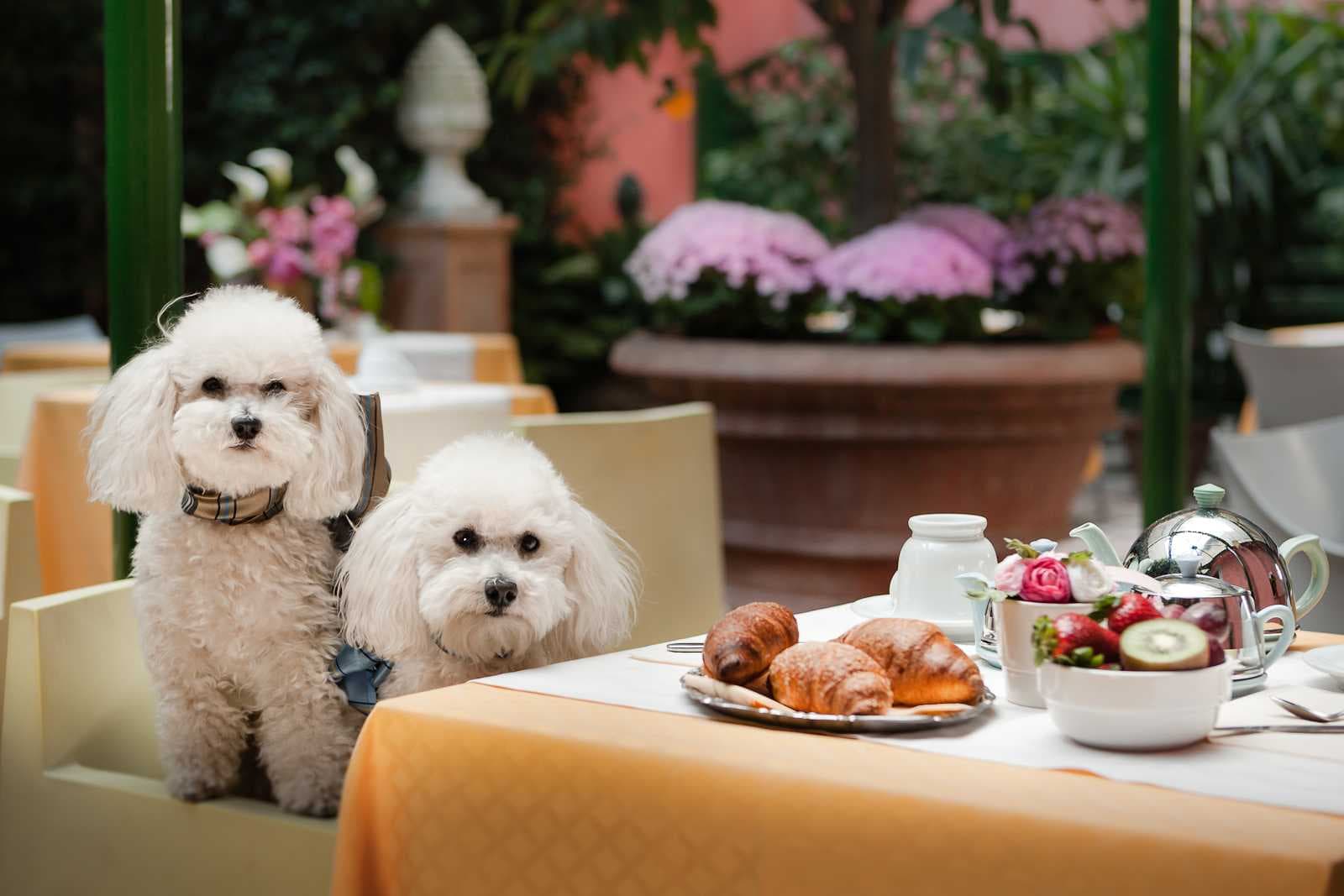 Hotel Palazzo dal Borgo Ansicht 7