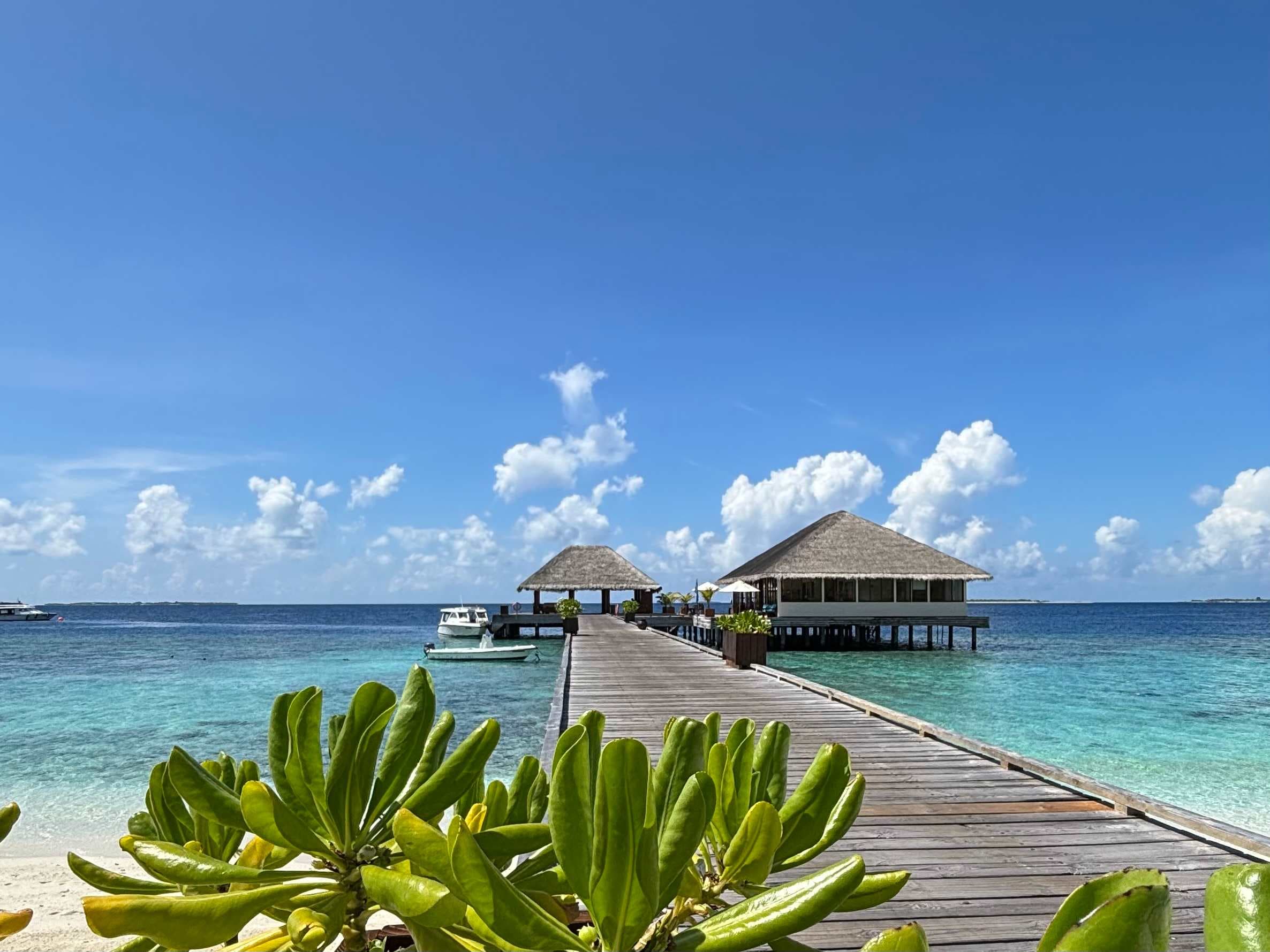 Kudafushi Resort & Spa Ansicht 3
